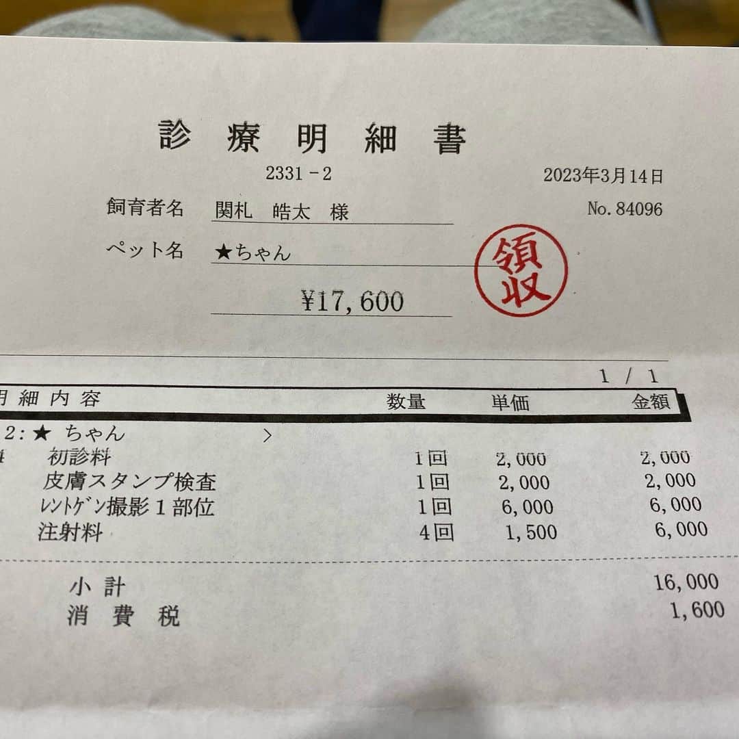 のインスタグラム：「ミスジドロガメの雄の食欲がないので病院へ行ってきました。 結果シェルロット跡は治癒してきており細菌なども確認されず。 レントゲンではマイクロチップを発見！ ひとまず抗生剤などの注射を打ってもらい帰宅したが明らかに活発になってるなあ。 治療費は購入した時とほぼ同じ値段。  #ミスジドロガメ #元祖爬虫類レスラー」