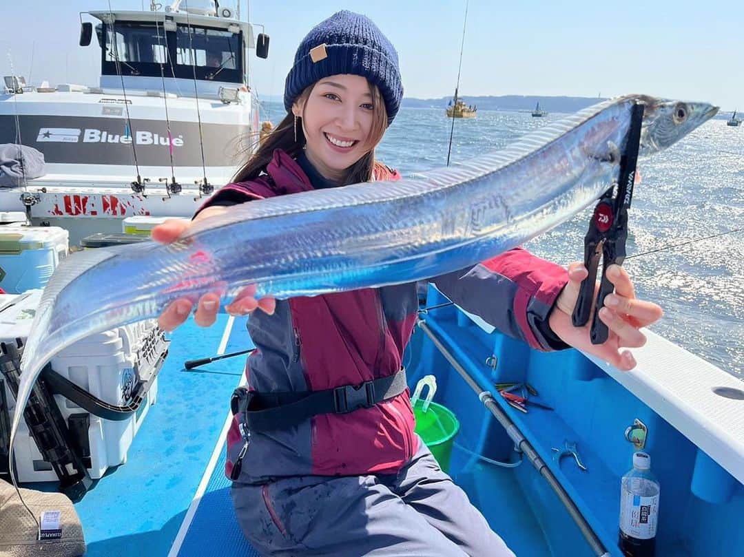 のインスタグラム：「・ ⁡ 先日は久しぶりのタチウオジギング✨ 深川吉野屋さんから出船✌️ ⁡ 朝イチの波に乗れず苦戦しましたが、途中でフォールバイトを狙ったジグにチェンジしてから4連チャンもあったりと楽しい1日になりました😆✨ ⁡ その日のその時間帯のパターンにさえハマればドラゴン連チャンも全然あるので、攻略のし甲斐があって面白いですよ〜🤔📝 ⁡ 型もまだまだ良いの出てますのでチャンス🎵 ⁡ ⁡ 深川吉野屋さんは船長さんも中乗りさんもみんな親切なので、釣りで分からないことがあっても優しく教えてくれますよ💡 ⁡ 船宿も綺麗だし、お手洗いもちゃんと女性専用があるので、釣りガールの皆さまにもオススメの船宿さんです😊✨ ⁡ ⁡ #DAIWA #釣りガール  #釣り女子  #釣りモデル  #釣り女  #アングラー  #道産子アングラー  #釣り好き  #船釣り  #海釣り  #オフショア #釣果 #釣り好きと繋がりたい #fishinggirl #富士村彩花 #タチウオ #タチウオ釣り #太刀魚 #タチウオジギング #ルアー釣り #ジギング」
