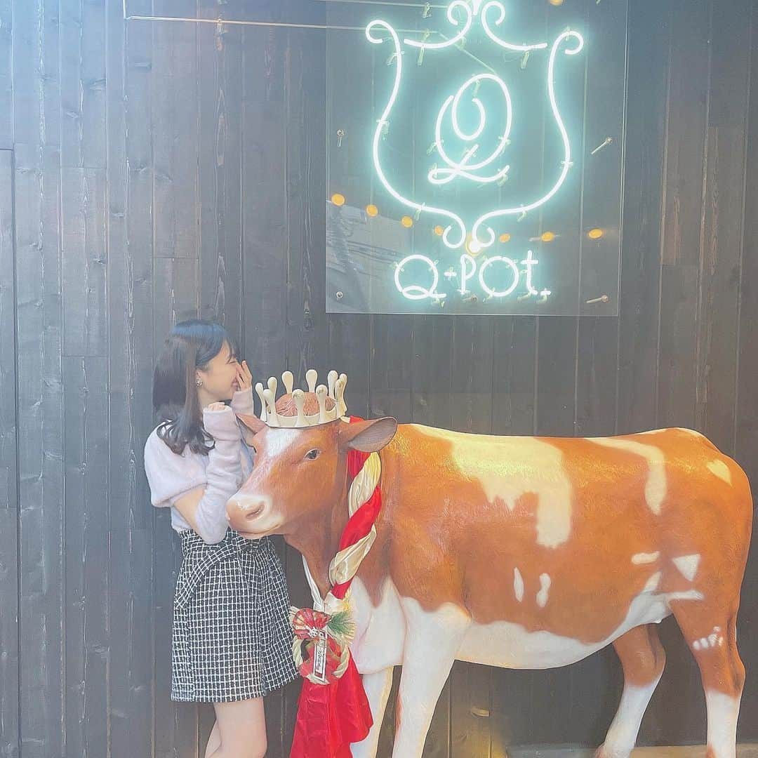 橋本陽菜さんのインスタグラム写真 - (橋本陽菜Instagram)「🐂 * 牛さんと真面目にツーショットしてる自分に笑えた😂 * #qpot #qpotcafe #qpotカフェ  #表参道カフェ #原宿カフェ #渋谷カフェ #牛 #cow  #pyonstagram  #AKB48 #チーム8 #チームB #浅井チームB #アイドル #富山 #富山県 #はるpyon #橋本陽菜 #圧倒的橋本陽菜 #橋本陽菜を広める」3月14日 13時45分 - 48pyonz_toyama