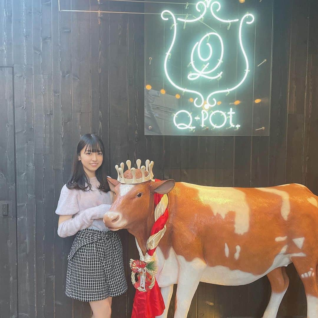 橋本陽菜さんのインスタグラム写真 - (橋本陽菜Instagram)「🐂 * 牛さんと真面目にツーショットしてる自分に笑えた😂 * #qpot #qpotcafe #qpotカフェ  #表参道カフェ #原宿カフェ #渋谷カフェ #牛 #cow  #pyonstagram  #AKB48 #チーム8 #チームB #浅井チームB #アイドル #富山 #富山県 #はるpyon #橋本陽菜 #圧倒的橋本陽菜 #橋本陽菜を広める」3月14日 13時45分 - 48pyonz_toyama