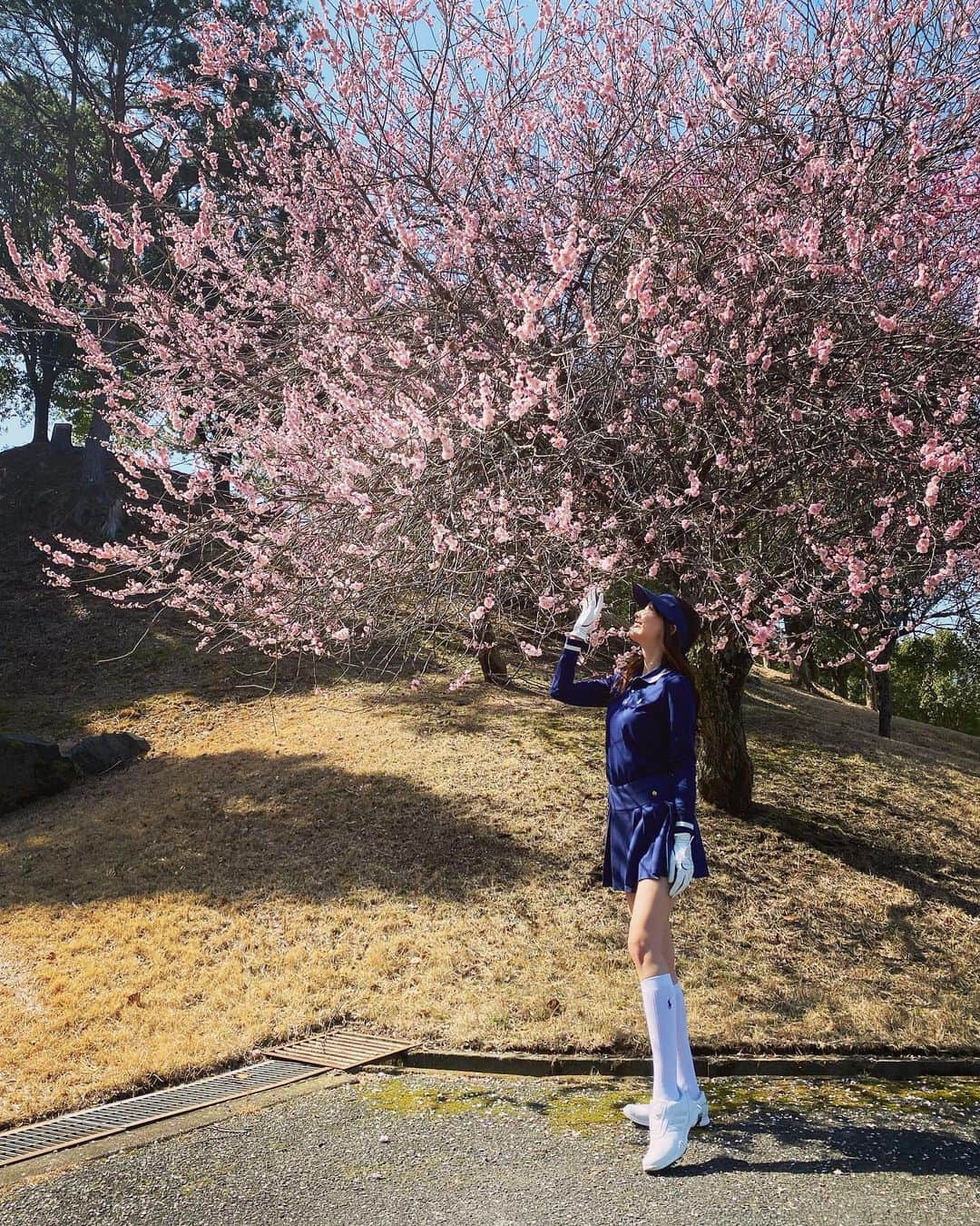 加藤桃子のインスタグラム：「桜開花したね🌸 今年もお花見行きたいな🤍  🌸 #sakura #cherryblossom #ohanami  #桜 🏌️‍♀️ #golf #golfwear  #golfgirl #ゴルフ女子 #ゴルフウェア #ゴルフウェアレディース」