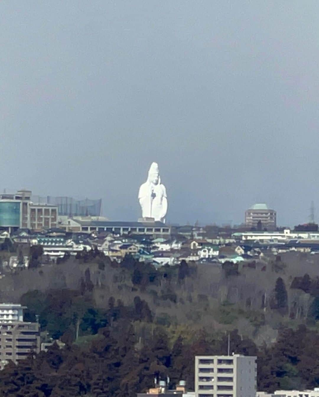 ロッシーさんのインスタグラム写真 - (ロッシーInstagram)「ドラクエウォークな日 今回は、宮城県！ リアルお土産プロジェクト！だよ！ 宮城県を満喫！ #宮城県 #仙台 #松島 #ずんだ餅 #牛タン #笹かまぼこ #伊達政宗 #スライムべほまずんだ餅 #ドラゴンクエストウォーク #ドラクエウォーク #DQウォーク #DQW #野性爆弾 #ロッシー #より。 #ロシ写真」3月14日 14時30分 - yaseibakudan_rossy