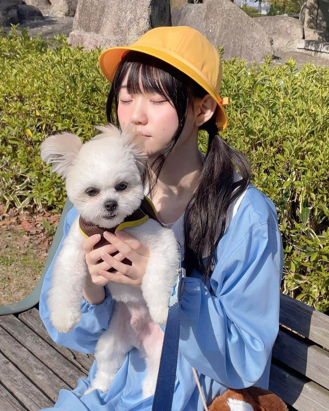 植田ひかるのインスタグラム：「撮影しました。 本日からfruitsandさんでデコレーションチェキ『子犬と幼稚園』が販売されます。  お気に入りの写真が沢山ございますので、是非 お出迎えくださいね。  https://fruitsand.booth.pm」