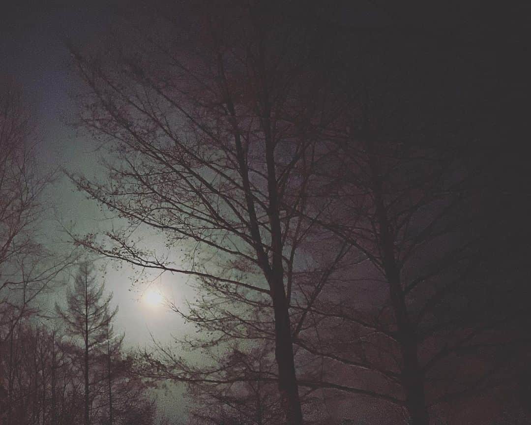 早織さんのインスタグラム写真 - (早織Instagram)「night hike」3月14日 16時45分 - saorioboegaki