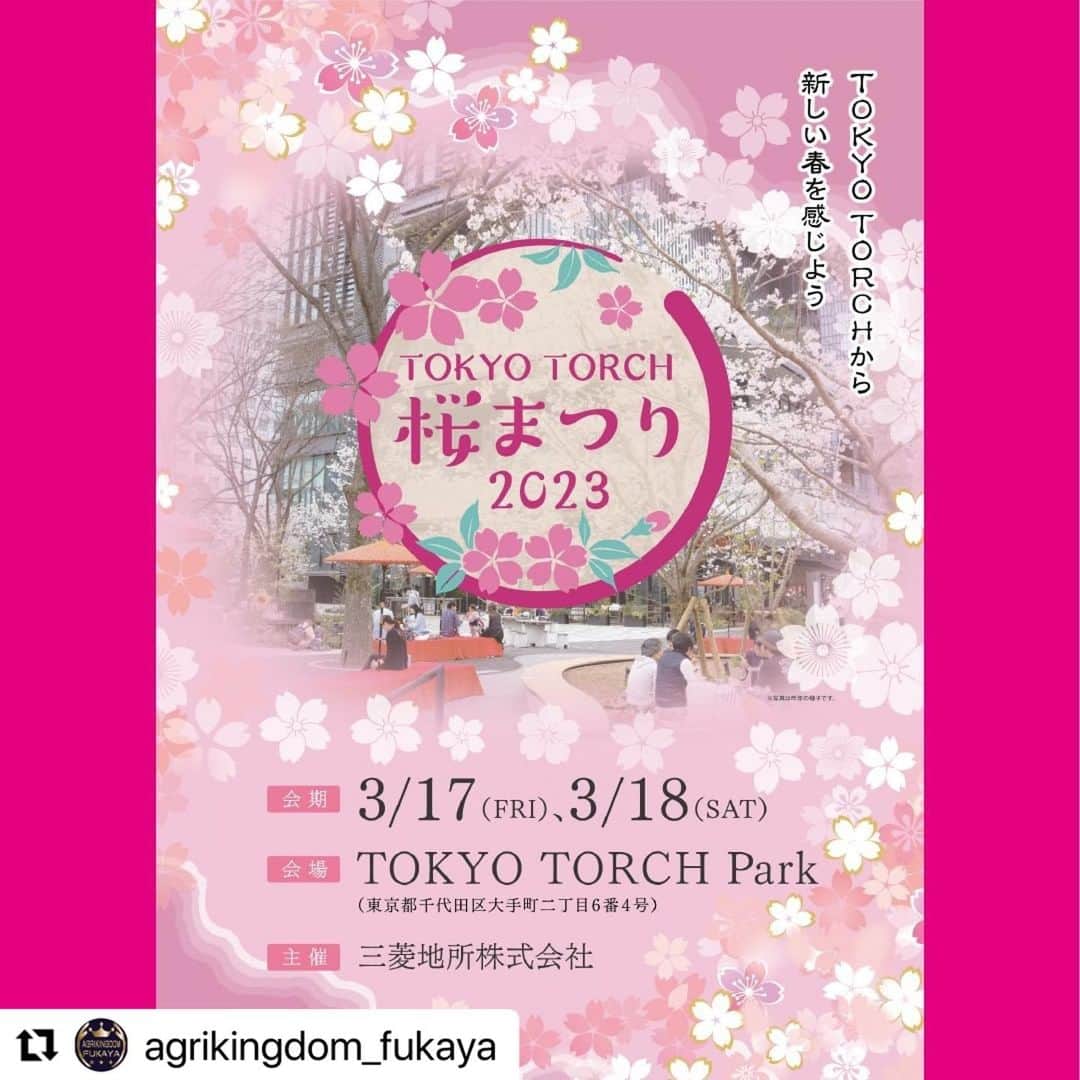 のインスタグラム：「#Repost @agrikingdom_fukaya with @use.repost ・・・ “新 1 万円札の顔”渋沢栄一ゆかりの地 常盤橋に深谷市がイベント出店 TOKYO TORCH 桜まつり 2023 に「渋沢栄一の郷 深谷博覧会」ブースが登場！  【開催概要】  ◆名称：TOKYO TORCH 桜まつり 2023 　　　　　 〈URL〉https://www.marunouchi.com/event/detail/34262/ ◆日時：２０２３年３月１７日（金）１２：００～２０：００ 　　　　  １８日（土）１１：００～１８：００  （※雨天荒天時は中止の場合があります。） ◆会場：東京都千代田区大手町二丁目６番４号 TOKYO TORCH Park （東京駅日本橋口より徒歩約１分)  　新一万円札の肖像になる渋沢栄一の銅像がある東京千代田区・常盤橋公園周辺一帯は、現在 TOKYO TORCH として整備が進められています。 　この渋沢栄一ゆかりの地で開催される「TOKYO TORCH 桜まつり 2023」に渋沢栄一生誕の地である深谷市がブー スを出店します。  🎪出店内容🎪 ・深谷の特産品や新鮮野菜、渋沢栄一グッズなどを販売 ・渋沢栄一パネル展示、万華鏡作成体験教室（18 日のみ/有料） ・深谷市イメージキャラクターふっかちゃんも登場！  🎁プレゼント企画🎁 深谷ブースで商品等を３９０円以上お買い上げいただいた先着 100 名様/日に対して、深谷の季節の お花（ポット花苗）をプレゼント。  みなさまぜひお越しください！  #tokyotorch #桜まつり ＃渋沢栄一 #深谷市 #ブース出店　#深谷イベント　#ふっかちゃん」