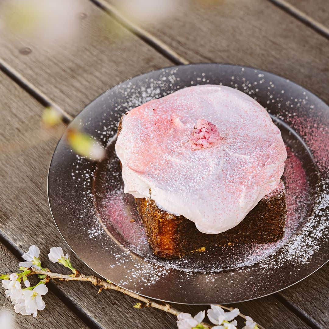 TYSONS&COMPANYのグルメインスタ