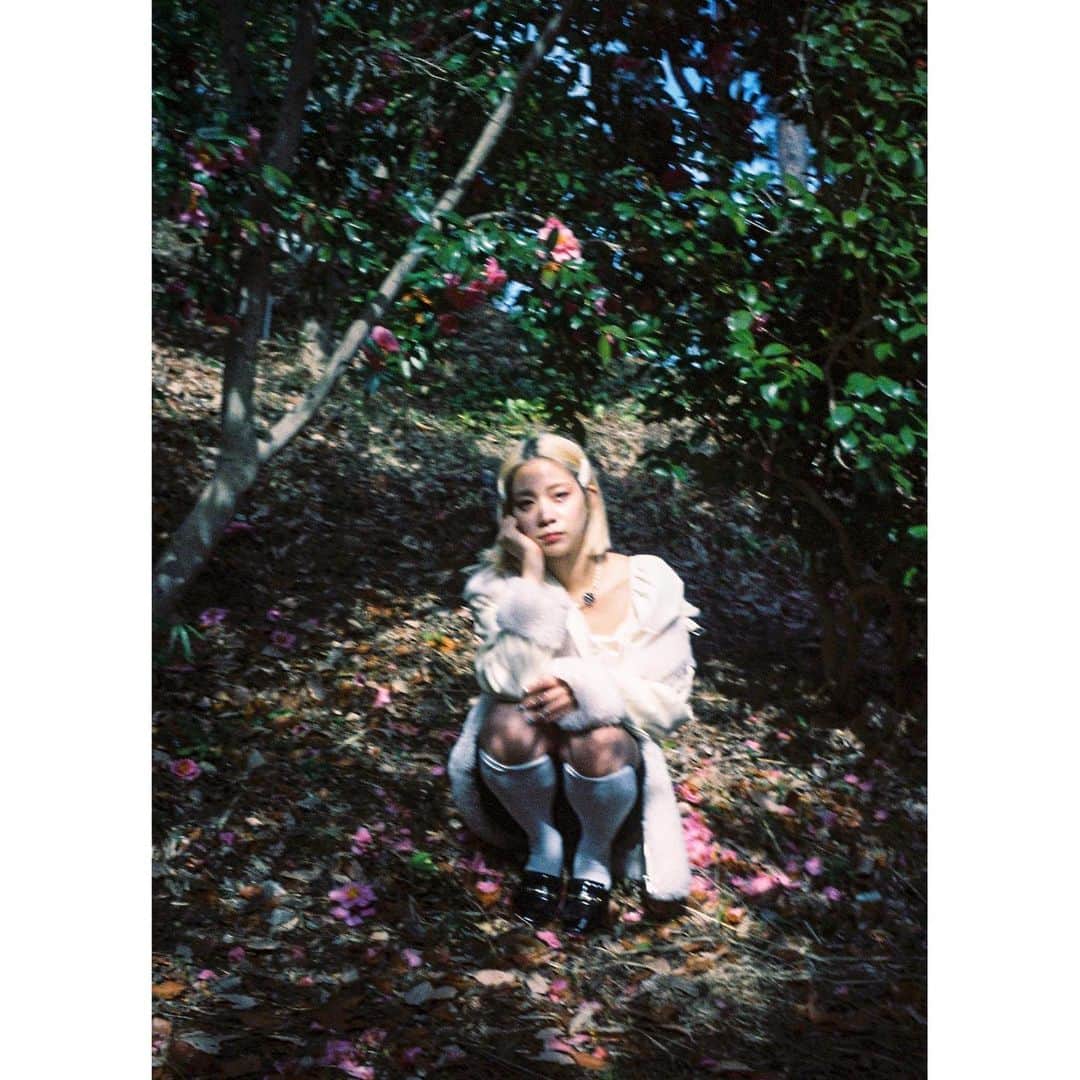 誰が犬やねんっのインスタグラム：「.」