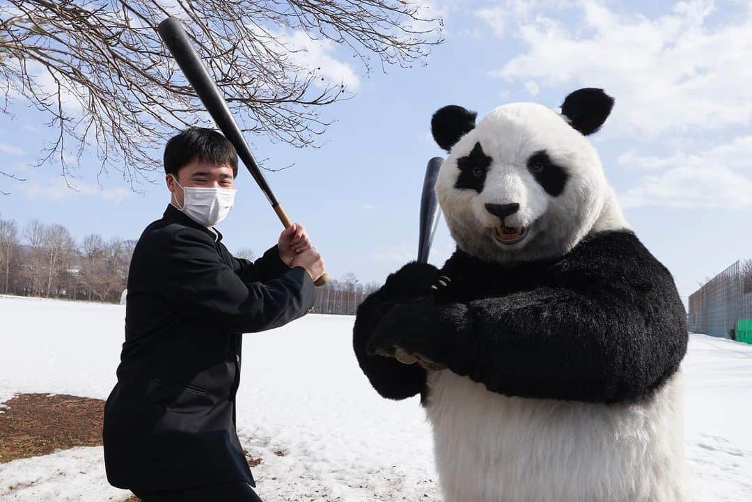 星星（セイセイ）のインスタグラム：「🥲⚾️🐼⛄️ #野球とパンダとちょっぴり涙 #卒業おめでとう .  きょうの #ベラベラENGLISHは ...💯 ／ 🌟weepy 🌟涙もろい ＼  🐼も最近...涙もろくって...🥲 #泣き虫パンダ . #星星 #パンダ #panda #pandagram #パンダ好きな人と繋がりたい #ZIP!」