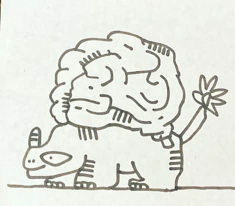 川合ルイのインスタグラム：「🧠」