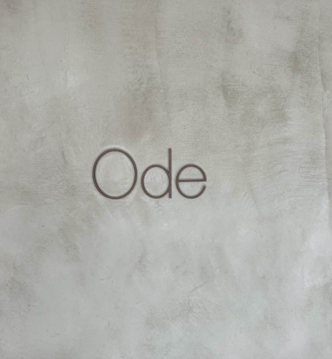 リサのグルメインスタ