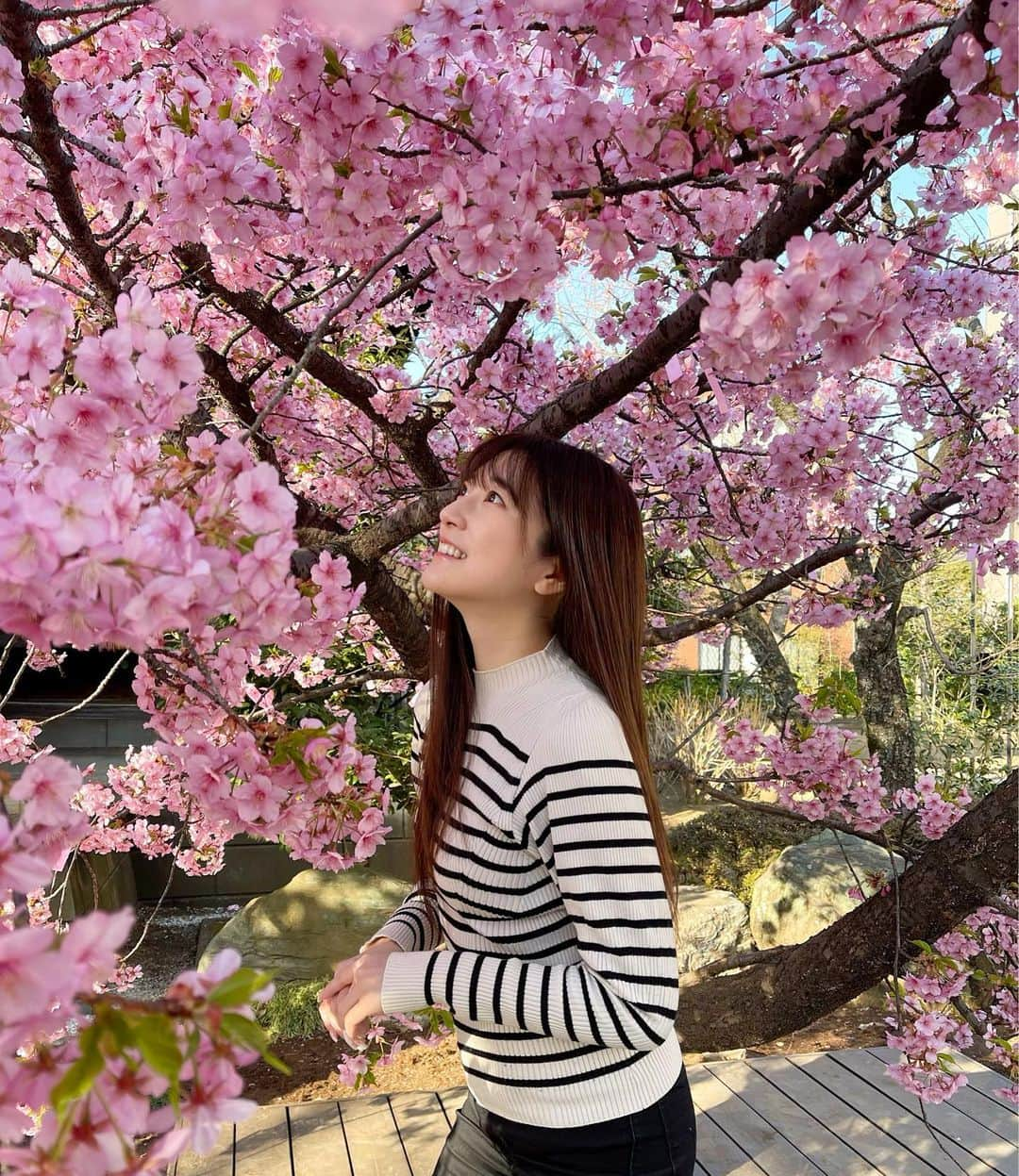 小泉里奈のインスタグラム：「今年も桜神宮へ🌸♡  #桜神宮 #桜新町 #河津桜 #桜 #お花見 #はなまっぷ #花のある暮らし #日本風景 #東京カメラ部 #ファインダー越しの私の世界 #ポートレート #cherryblossom #sakura #flower_pinks #flowerstagram #japan_of_insta #japaneseculture #japan_daytime_view #lovers_nippon #jp_portrait部 #벚꽃 #벚꽃축제」