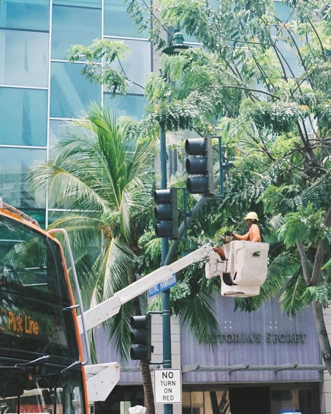 tammychannnさんのインスタグラム写真 - (tammychannnInstagram)「film from Waikiki (2022) #nikonf3」3月14日 23時01分 - tammychannn