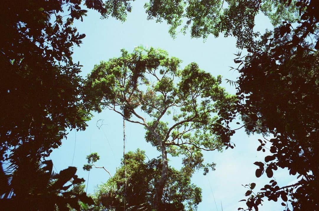 バーティ・ギルバートさんのインスタグラム写真 - (バーティ・ギルバートInstagram)「love to australia, home of westfield (and the oldest tropical rainforest in the world i guess)」3月15日 0時12分 - bertieegilbert