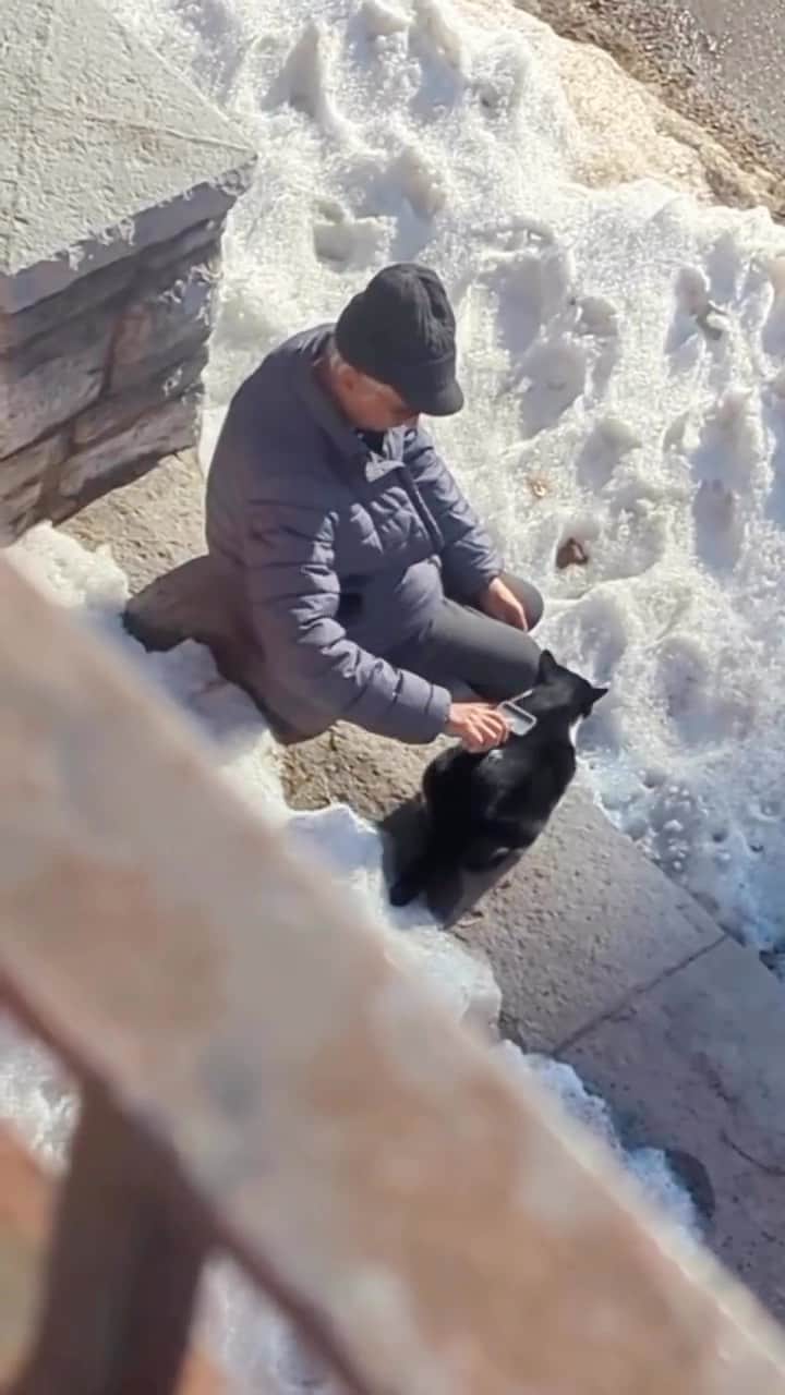 のインスタグラム：「He’s waving like they had plans to meet up there 🥺🐱🥺🥰💗😽  Credit: awesome tiffanyelsie.e1 (TikTok) Check them out ☺️  ** For all crediting issues and removals pls 𝐄𝐦𝐚𝐢𝐥 𝐮𝐬 ☺️  𝐍𝐨𝐭𝐞: we don’t own this video/pics, all rights go to their respective owners. If owner is not provided, tagged (meaning we couldn’t find who is the owner), 𝐩𝐥𝐬 𝐄𝐦𝐚𝐢𝐥 𝐮𝐬 with 𝐬𝐮𝐛𝐣𝐞𝐜𝐭 “𝐂𝐫𝐞𝐝𝐢𝐭 𝐈𝐬𝐬𝐮𝐞𝐬” and 𝐨𝐰𝐧𝐞𝐫 𝐰𝐢𝐥𝐥 𝐛𝐞 𝐭𝐚𝐠𝐠𝐞𝐝 𝐬𝐡𝐨𝐫𝐭𝐥𝐲 𝐚𝐟𝐭𝐞𝐫.  We have been building this community for over 6 years, but 𝐞𝐯𝐞𝐫𝐲 𝐫𝐞𝐩𝐨𝐫𝐭 𝐜𝐨𝐮𝐥𝐝 𝐠𝐞𝐭 𝐨𝐮𝐫 𝐩𝐚𝐠𝐞 𝐝𝐞𝐥𝐞𝐭𝐞𝐝, pls email us first. **  #sleepingkitty #instakitties #kittycuddles  #catladylife #catsareawesome  #catsareawesome #catsarelife #kittenlovers」