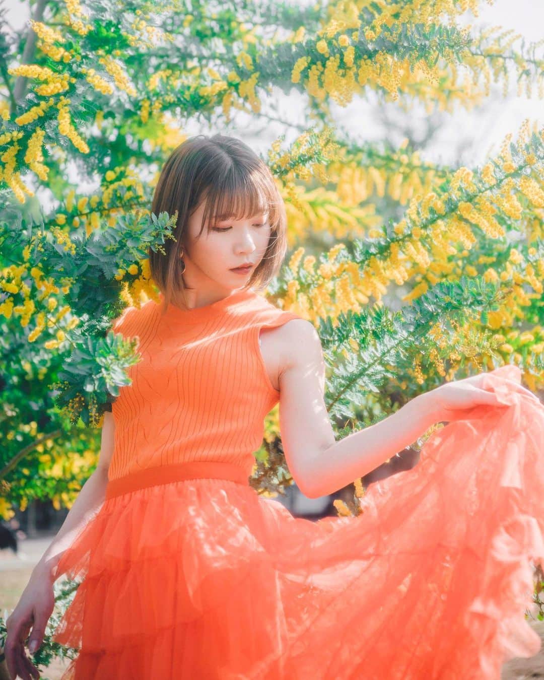 kenta_soyoungのインスタグラム：「mimosa🏵 . . . @mikity_me  @kenkotokina_jp」