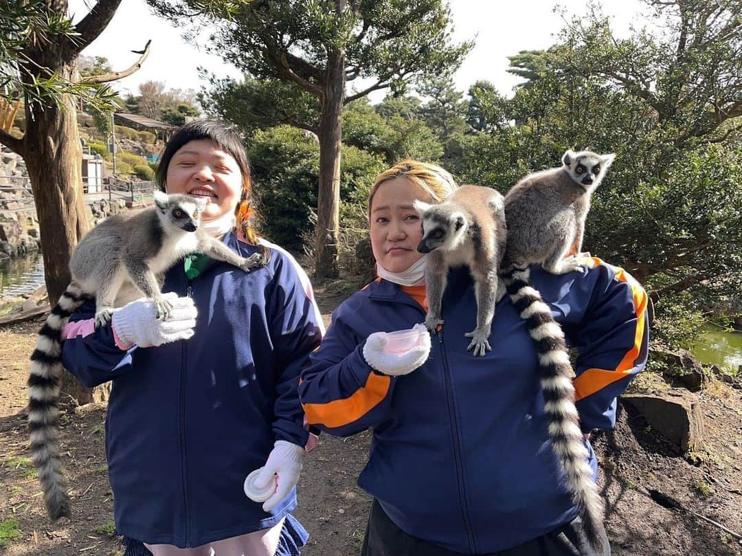 おかずクラブのインスタグラム