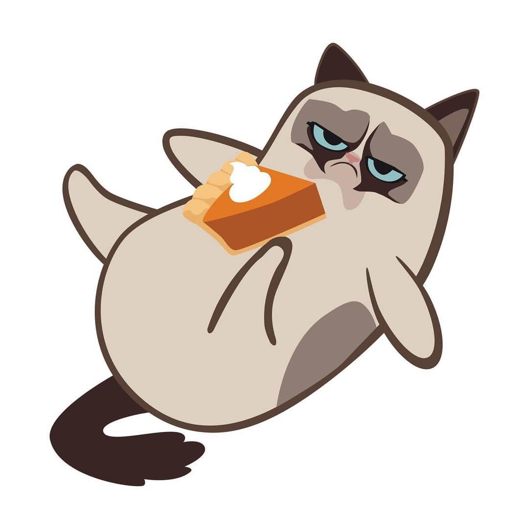 Grumpy Catさんのインスタグラム写真 - (Grumpy CatInstagram)「Happy Pi day? Never.」3月15日 5時13分 - realgrumpycat