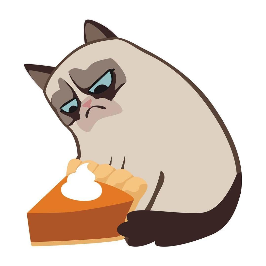 Grumpy Catのインスタグラム：「Happy Pi day? Never.」