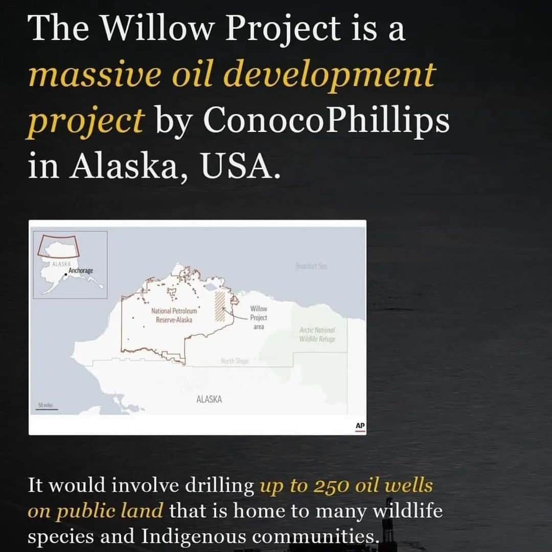 Leslie Camila-Roseさんのインスタグラム写真 - (Leslie Camila-RoseInstagram)「Please swipe and read all the posts.   💣 CLIMATE BOMB 💣  Developing and burning oil from the Willow project would produce up to 280 million metric tons of carbon dioxide over the next 30 years at a time when the United States urgently needs to move away from fossil fuels.   📢 That’s equal to the annual emissions of 66 coal power plants—a third of all coal plants in the United States.  📢 If approved, emissions from the Willow project would eclipse those avoided through achieving the Biden administration’s renewable energy goals on public lands and waters by 2030.  ⚠️ A new scientific study published in July found that the Arctic is warming four times faster than the rest of the world.  In particular, climate change is having truly profound impacts in Alaska, which is saying something considering that roads are melting in Europe, U.S. national parks are closing from floods and fire, and the water supply in Western states is shrinking at a dramatic rate.  At the same time, the Arctic is home to new drilling proposals in extreme and remote areas that have no business being turned into the next major oil hub.  📢 Scientists have made it clear that the United States must be looking to transition its economy to clean energy for the sake of our lives, livelihoods, and the planet; locking in decades of new drilling would be a massive step backward.  ⚠️One such project is the ConocoPhillips Willow oil drilling project in the Western Arctic. After initially being approved by the Trump administration in 2020, then struck down by the courts in 2021, the Willow project is one of the most significant climate decisions in the hands of the Biden administration. The project is in direct conflict with the administration’s climate obligations and the subsistence and wildlife values of the Western Arctic.  ⚠️ The window to act on climate is rapidly closing. Every new fossil fuel project makes it that much harder for humanity to do what is needed to avert truly catastrophic climate change.   #climatebomb #climatechangeisreal #stopwillowproject #stopfossilfuels #endfossilfuels #fossilfuels #stopwillow #stopwillowproject2023 #savetheartic」3月15日 5時24分 - leslie_coutterand