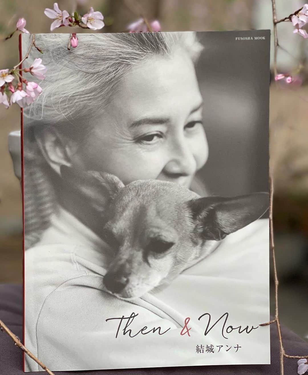 のインスタグラム：「✨🍀お知らせ 第二弾🍀✨  📚「Then & Now  結城アンナ」📚  ＂Anna Yuki＂サイン本📖  ★浦和蔦屋書店（アトレ浦和）  ♡三省堂書店 成城店（成城コルティ2F）  こちらの2店舗にて 数量限定で販売中です🌟  ★浦和蔦屋書店では「Then &Now」出版記念フェア【3月14日〜3月21日】開催中❗️ ＊「タロー屋のパン」【3月16/18日限定】🍞🥐 ＊オリジナルイラスト/ポストカード【フェア期間中】🎨📝  期間限定販売中です💕  是非、お店に足を運んでいただけたら嬉しいです😊  https://www.instagram.com/urawa_tsutayabooks/ ↑ 浦和蔦屋書店Instagram  https://mobile.twitter.com/seijou_sanseido ↑ 三省堂書店成城店twitter」
