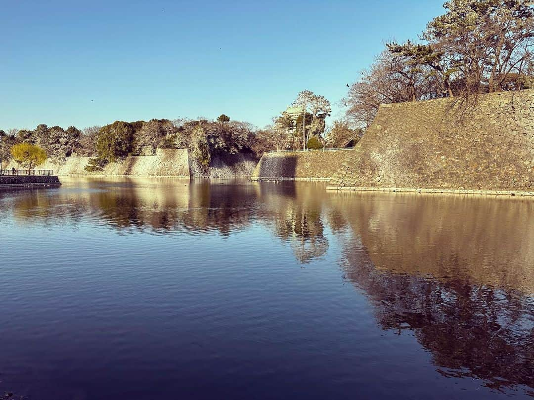 japantripのインスタグラム：「#名古屋城 #水堀  #nagoya  #nagoyacastle🏯  #unseenjapan  #instadaily  #instaphoto」