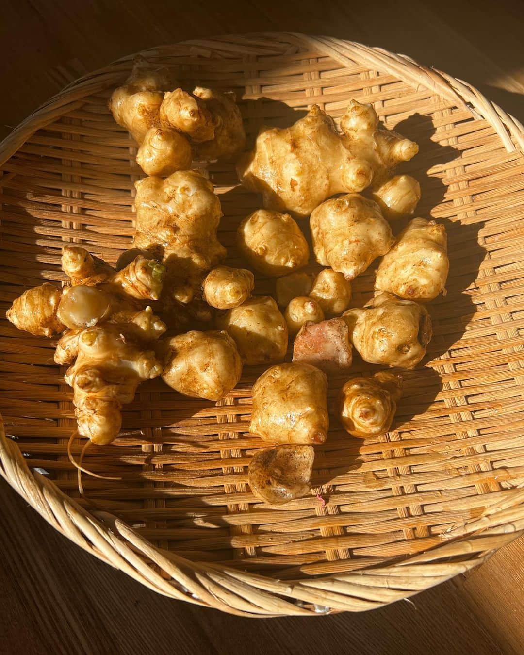 hiromi hashimotoのインスタグラム：「お裾分けで頂いた菊芋と自家製切り干し大根。いいスポットライト照らしてくれてる☀︎  キクイモはチップ、グリル、ポタージュ、、？🤔」