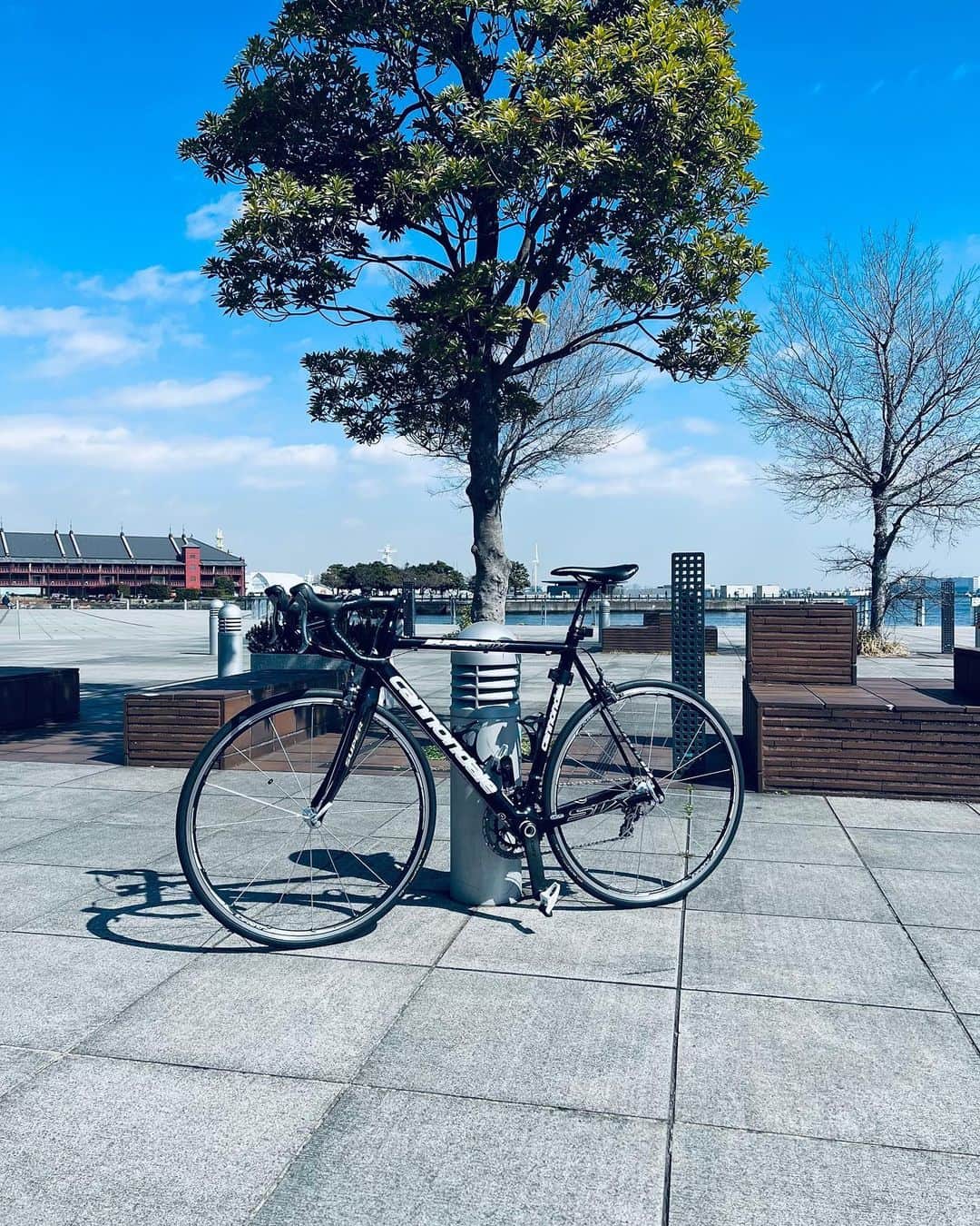 石崎剛さんのインスタグラム写真 - (石崎剛Instagram)「サイクリング日和ですなー  気持ちー  #みなとみらい #あかれんが倉庫  #サイクリング  #キャノンデール」3月15日 10時43分 - tsuyoshi_0909