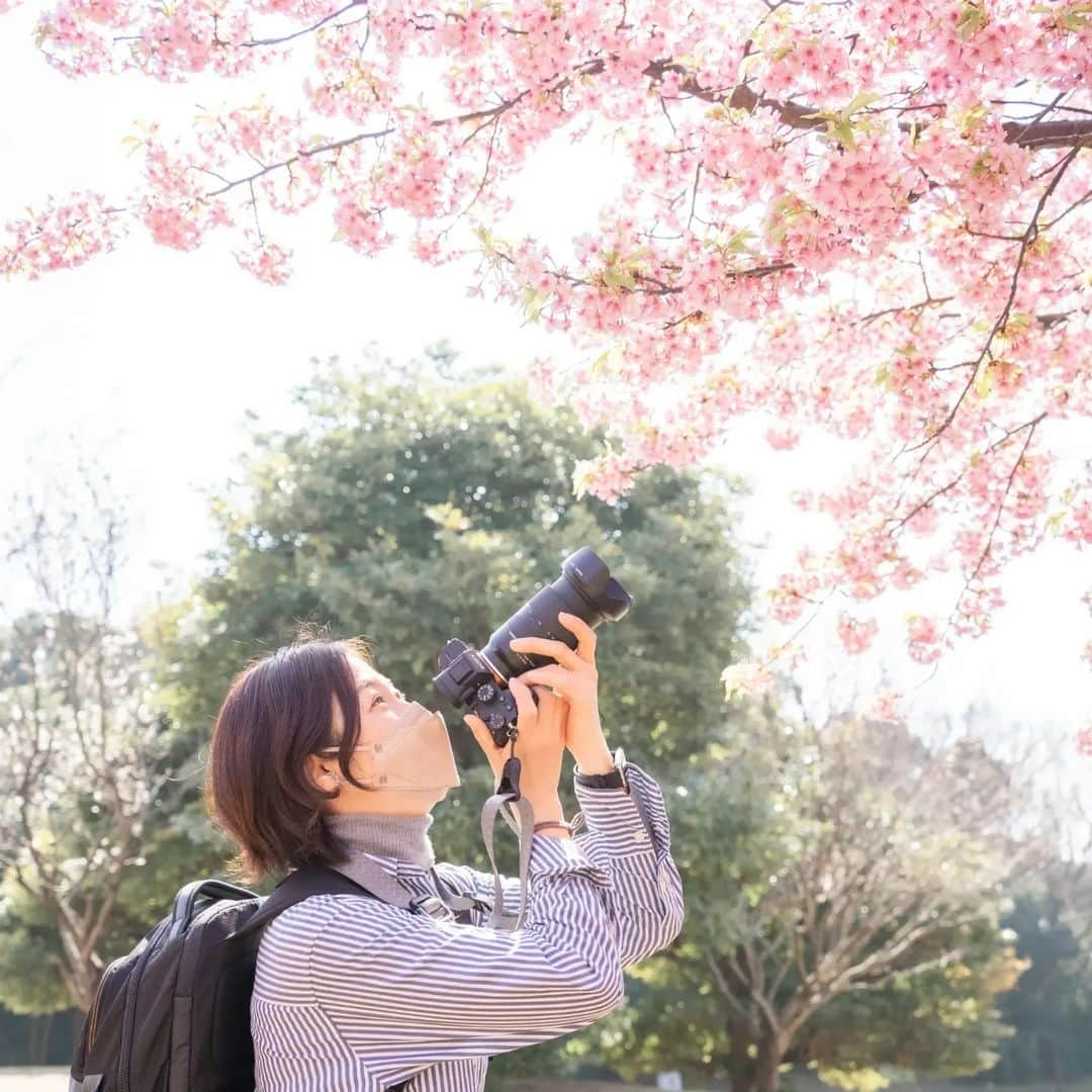 石井寛子さんのインスタグラム写真 - (石井寛子Instagram)「サクラサク🌸 長年の同志である @michiimichimom  みっちいと📷写活☺️  花粉が飛び終わったら、マスク取るんだもん🙌🙌🙌  #河津桜 #cherryblossom  #桜　#お花見#葛西臨海公園 #こどもと暮らす　#二歳差育児　 #ママフォトグラファー　#ママカメラマン #ファインダー越しの私の世界 #写真すきな人と繋がりたい 　#sonya7iii #マイタムロンレンズ」3月15日 10時43分 - ishiihiroko