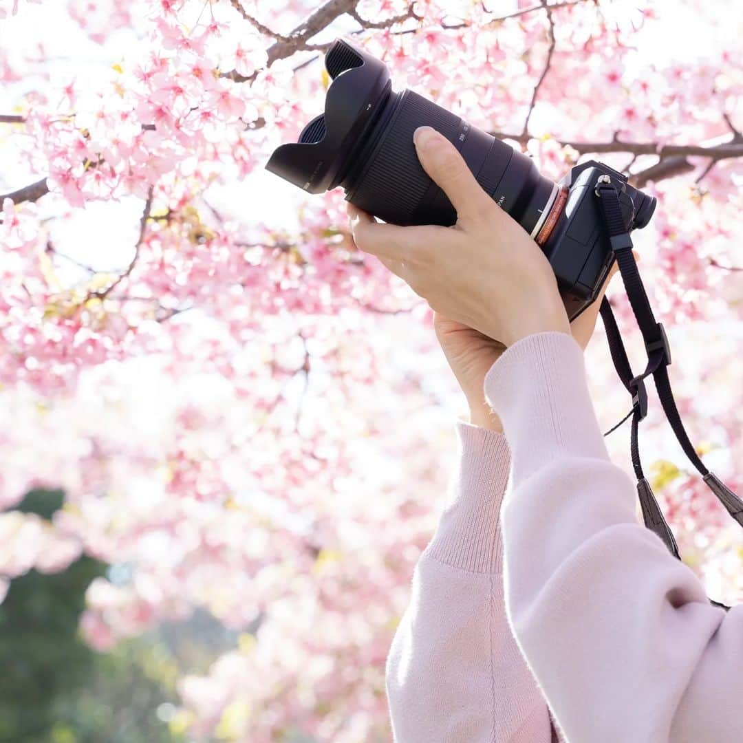 石井寛子さんのインスタグラム写真 - (石井寛子Instagram)「サクラサク🌸 長年の同志である @michiimichimom  みっちいと📷写活☺️  花粉が飛び終わったら、マスク取るんだもん🙌🙌🙌  #河津桜 #cherryblossom  #桜　#お花見#葛西臨海公園 #こどもと暮らす　#二歳差育児　 #ママフォトグラファー　#ママカメラマン #ファインダー越しの私の世界 #写真すきな人と繋がりたい 　#sonya7iii #マイタムロンレンズ」3月15日 10時43分 - ishiihiroko