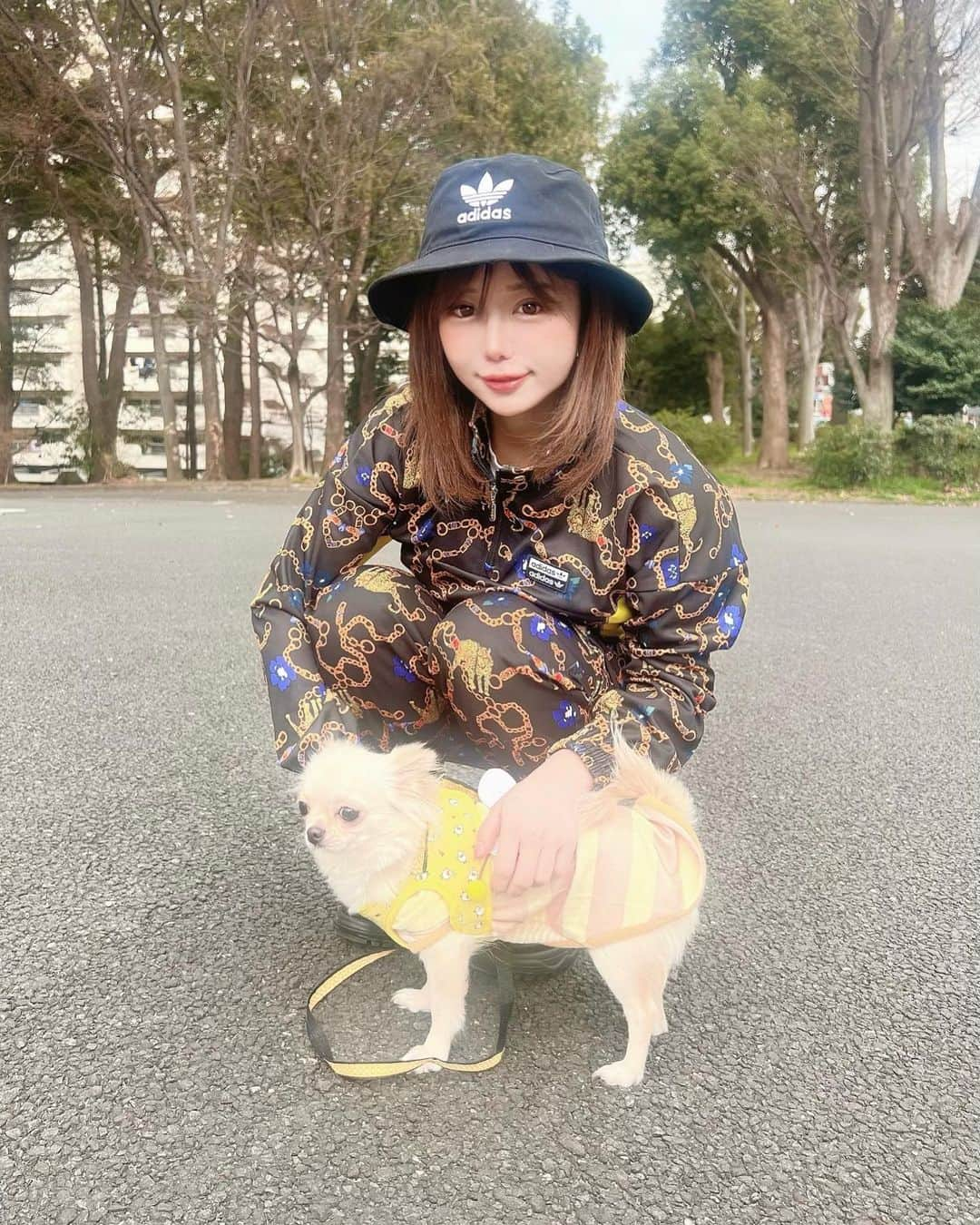 森カノンさんのインスタグラム写真 - (森カノンInstagram)「🐕🐝🖤 ほたてとお散歩💨💨💨  @hotate_the_chihuahua」3月15日 11時41分 - mkanon211