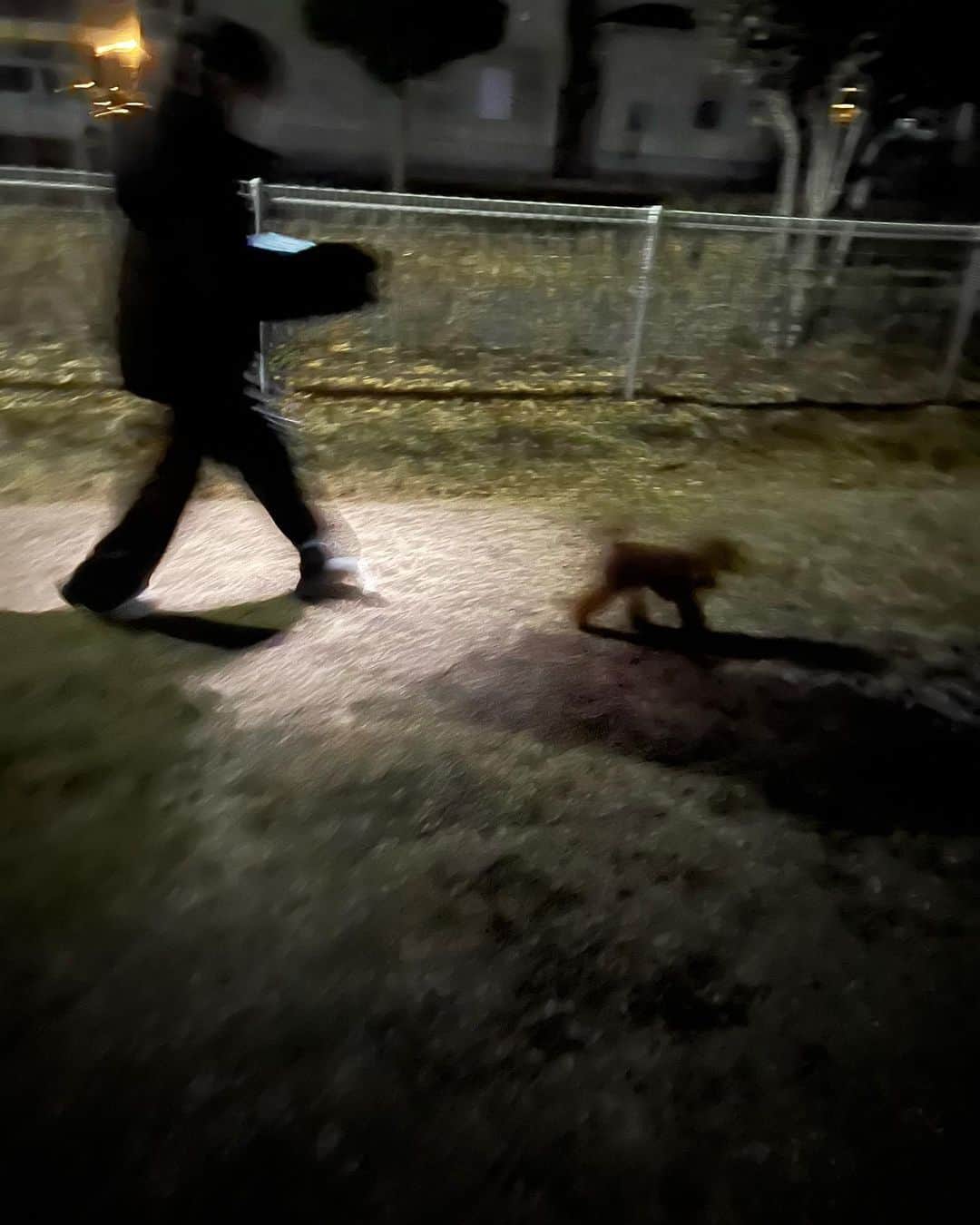 町田亜里香のインスタグラム：「とある日。 帰宅後のじゅきが発しました。  『switch公園に置いてきちゃった。』  終わった… と思いつつも あるかなと遊んでた公園へ 暗いからじゅなも手伝うよと じゅなもきてくれて🫱🤍  捜索。 とても星が⭐️綺麗だったの。 じゅなと丘登って、 星綺麗だねーって🤍🫰🏻  結局switchは見つからなくて、 一応と警察署に電話📞  …優しい人がいるものだ。 落とし物で届いてました…（ ; ; ）  それから遊び行くのに switchは持っていけなくなりました。  でもみんな持ってるのよね。 しっかりしてればいいけど。 悩みどこです。  #悩み #小学生男子 #星 #夜空」