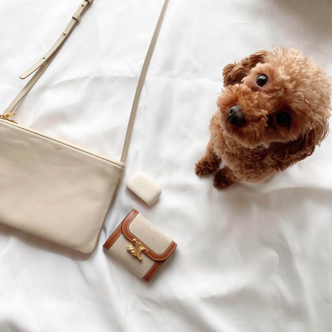 *yoko*のインスタグラム：「* sudioの新しいイヤホン🎧  この色合いとマットな質感が気に入ってて愛用中。 ノイズキャンセリング機能でむっちゃクリアな音質に感動するんやけど！  クーポンコード→yoco_e2で全商品が15%OFF （5/31日まで） 3/31までにイヤホンなど購入するとクリーニングキットを無料プレゼント中  @sudio #sudio#designingsound#sudioE2」