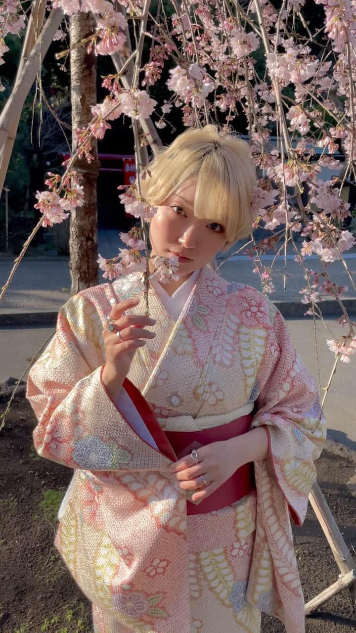 柊里杏のインスタグラム：「今日のお着物が春らしくて最高に可愛いかった🌸  (桜は花や蕾のない枝の部分のみに触れています)」