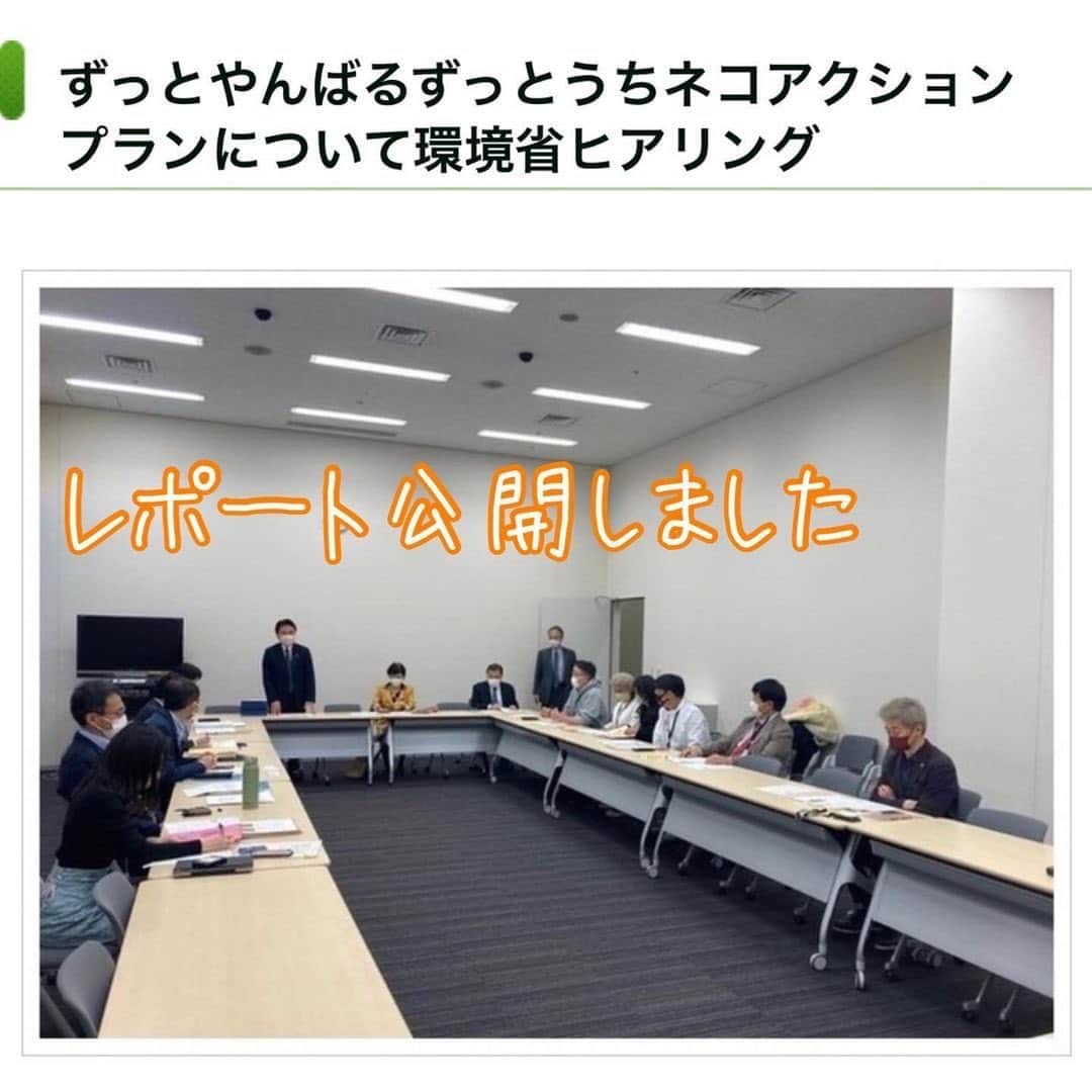 杉本彩のインスタグラム：「昨年10月から11月にかけて、環境省が「沖縄島北部における生態系保全等のためのネコ管理・共生行動計画（案）」に対する意見を募集しました。案は「ずっとやんばる ずっとうちネコ アクションプラン」というものにまとめられています。  このネコ管理計画ですが、目標としていた4月からの実施は困難とのことで、昨日延期の一報がありました。  このアクションプランについて、先月、超党派動物愛護議連の国会議員の方々が、環境省 自然環境局 野生生物課課と動物愛護管理室を呼んでいただき、大学教授や獣医師、動物愛護団体を含め、環境省の見解を伺う議論の場を設けてくださいました。  日にちが経ってしまいましたが、レポートをまとめましたので、ご報告いたします。  https://www.eva.or.jp/yanbaruplan ※ストーリーからリンクしています  @evaanimal  #ずっとやんばるずっとうちネコアクションプラン  #環境省 #ノネコ対策事業  #動物環境福祉協会eva  #杉本彩」