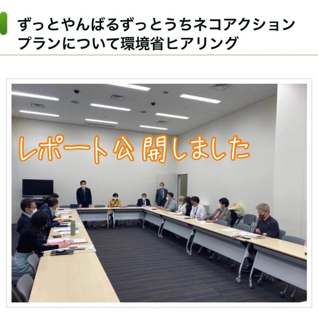 杉本彩さんのインスタグラム写真 - (杉本彩Instagram)「昨年10月から11月にかけて、環境省が「沖縄島北部における生態系保全等のためのネコ管理・共生行動計画（案）」に対する意見を募集しました。案は「ずっとやんばる ずっとうちネコ アクションプラン」というものにまとめられています。  このネコ管理計画ですが、目標としていた4月からの実施は困難とのことで、昨日延期の一報がありました。  このアクションプランについて、先月、超党派動物愛護議連の国会議員の方々が、環境省 自然環境局 野生生物課課と動物愛護管理室を呼んでいただき、大学教授や獣医師、動物愛護団体を含め、環境省の見解を伺う議論の場を設けてくださいました。  日にちが経ってしまいましたが、レポートをまとめましたので、ご報告いたします。  https://www.eva.or.jp/yanbaruplan ※ストーリーからリンクしています  @evaanimal  #ずっとやんばるずっとうちネコアクションプラン  #環境省 #ノネコ対策事業  #動物環境福祉協会eva  #杉本彩」3月15日 14時35分 - sugimoto_aya0719