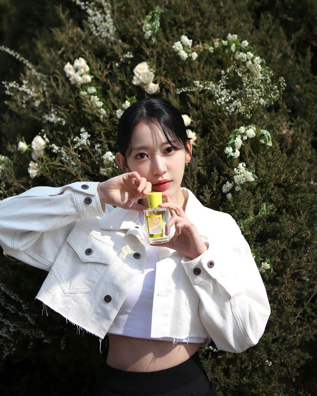 宮脇咲良さんのインスタグラム写真 - (宮脇咲良Instagram)「레몬이 톡🍋　 #AD @acquadiparma_official @design.by.samuelross @sr.asr.a #AcquadiParma #SRA #ColoniaLimitedEdition #ColoniadesignedbySRA」3月15日 14時41分 - 39saku_chan