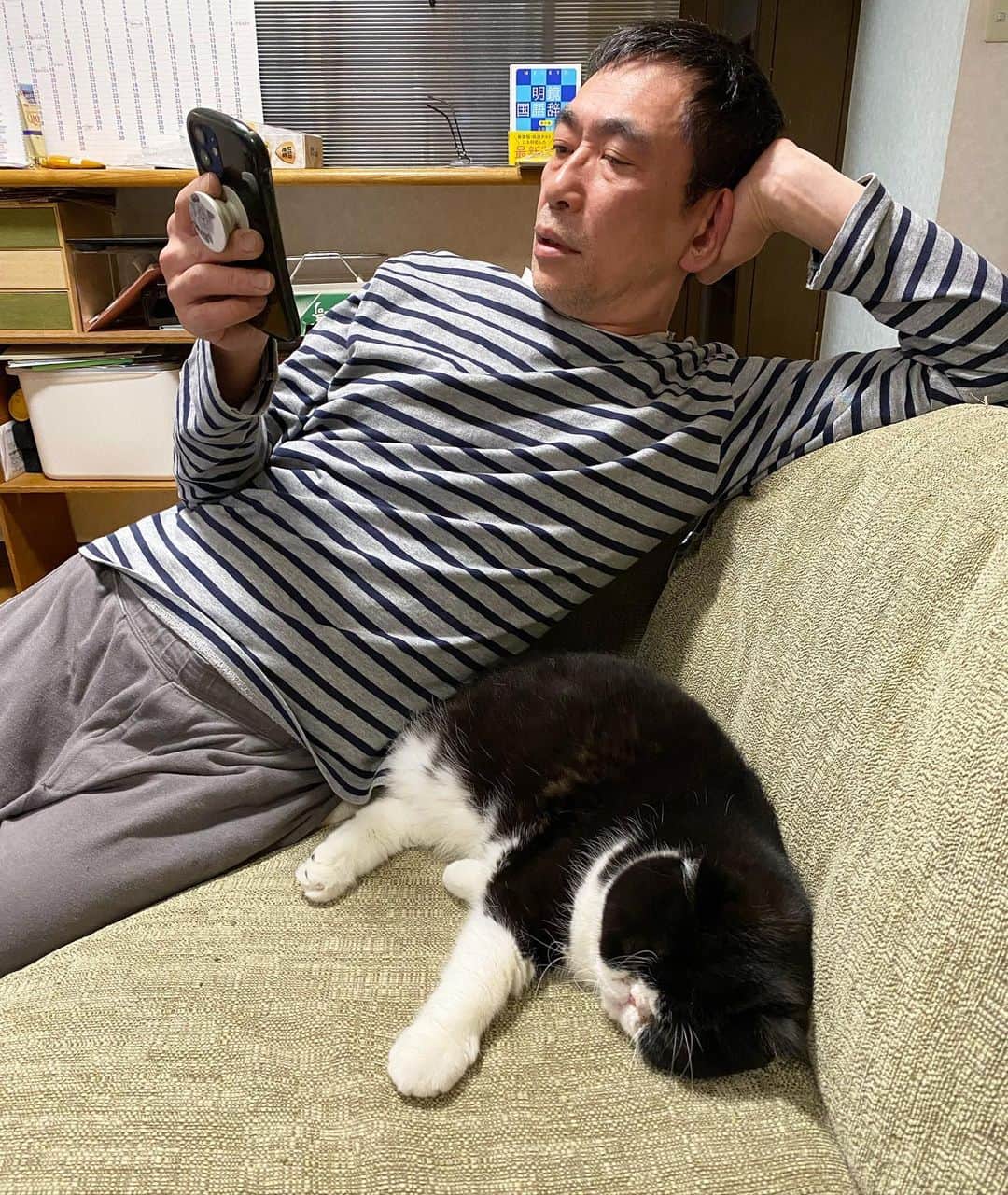 nemuru_catのインスタグラム：「#ルーク#眠る夫  １ミリも避けないるっちゃんと なんとか座る夫 * #ねこ部#cat#cats#neko#猫#catsofinstagram#bestmeow#catlover#ふわもこ部#エキゾチックショートヘア#exoticshorthair#はちわれ」