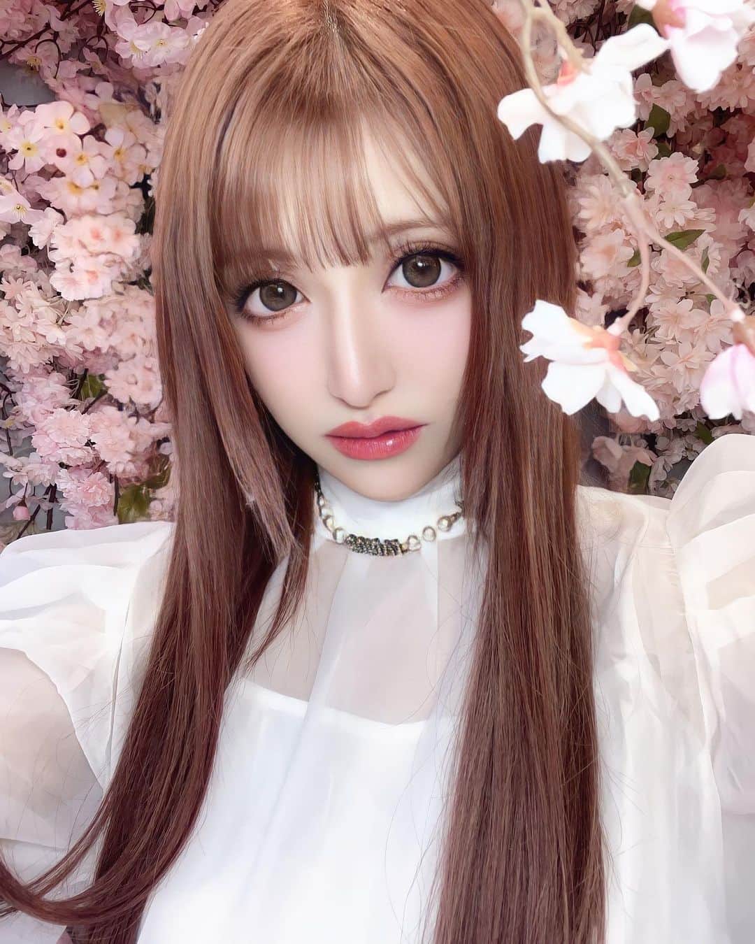 のインスタグラム：「室内花見🌸 【 @hautecouturecafe_official 】はもう毎回毎回店内可愛すぎるのよ🥹💗 今回は天井一面満開の桜🌸🌸🌸🌸🌸 苺🍓桜🌸ピンク💖の最強アフタヌーンティー🫖💕 そして何と1番下の段は肉うどん🫣✨ 珍しい✨✨✨ 美味しい&可愛い、そして超映える💗 めちゃめちゃ人気で予約必須のオススメ中目黒のアフヌンです❤️  #アフタヌーンティー#アフヌン#ヌン活#中目黒#桜#花見#室内花見#桜アフタヌーンティー#hautecouture」