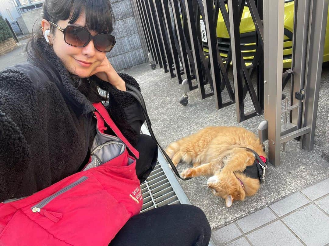 橘モニカのインスタグラム：「Me and my baby 💕 . . . . . #cute#cat#pumpkin#mybaby」