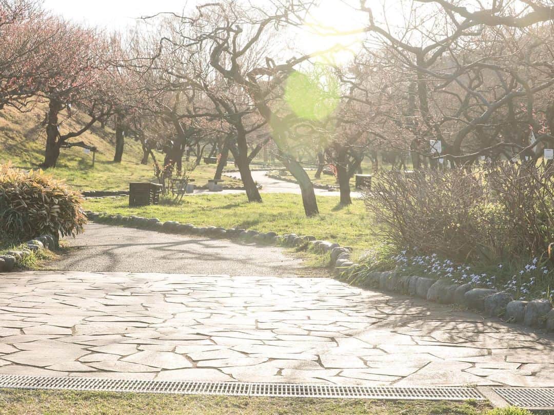 石崎剛のインスタグラム：「サイクリング後、 娘とデート行って来ましたー  TVで桜の話がちらほら聞く中 公園へ行ってみたが.......え？ 咲いてないwwwww  あれまぁー  桜満開予想来週みたいやしまたいつかね笑  #公園　#桜　#蕾　#デート　#娘」