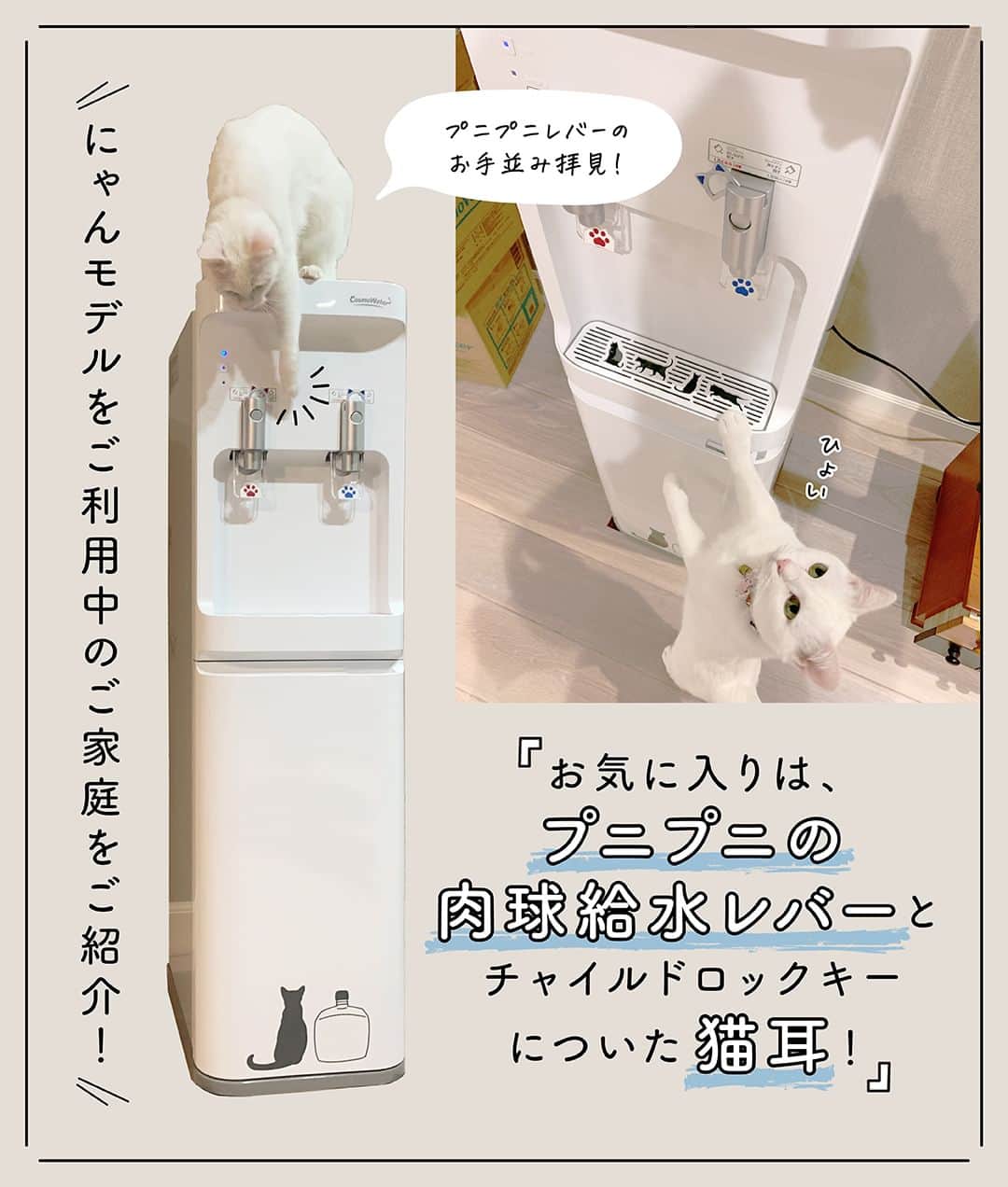 コスモウォーター【公式】さんのインスタグラム写真 - (コスモウォーター【公式】Instagram)「＼にゃんモデルを使っているご自宅をご紹介🐱🐾／  今回は、漫画家の宮路ひまさん( @shibainu_donguri )の smartプラス にゃんモデルを 使っている様子を紹介します✨  宮路さんのお気に入りはプニプニの肉球給水レバーと 猫耳のチャイルドロックキー🐱 猫好きにたまらないデザインです🐾✨  猫のすずらんちゃんも、にゃんモデルに興味津々👀 ボトルの入っているダンボールも 遊び場になっているようです💙  可愛いだけじゃなく、冷水やお湯がすぐに出るので 赤ちゃんのミルク作りや家事の時短にも 大活躍しているそうです！  実はこのにゃんモデル。2/22の猫の日に、 大好評につき定番化が決定🎉 定番化を記念してプレゼントキャンペーンを開催しています✨  新規ご契約いただいた方全員にもれなく猫グッズが当たる！ 何が当たるかわからにゃい！？ お楽しみグッズをプレゼント！ さらに、総額100万円分のデジタルギフトカードを抽選でプレゼントいたします✨  また、他社ウォーターサーバーから当社ウォーターサーバーにのりかえると、もれなく全員に「現金5,000円」をキャッシュバック！うれしい特典が最大3つもついてきます✨  キャンペーン期間は2023年3月31日（金）まで。 詳しくは、プロフィールから公式WEBサイトを タップしてCHECKしてくださいね🐱✨  #コスモウォーター #コスモウォーターのある暮らし #にゃんモデル #ウォーターサーバー #ウォーターサーバーのある生活 #ウォーターサーバー検討中 #天然水 #美味しい水 #QOL向上 #生活の質 #ていねいな暮らし #シンプルな暮らし #白湯 #白湯生活 #水分補給 #暮らしのアイデア #暮らしを楽しむ #便利グッズ #ねこ漫画 #猫漫画 #猫まんが #猫のいる風景 #コミックエッセイ #ねこら部 #ねこ好き #猫グッズ #猫可愛い #にゃんすたぐらむ #ねこすたぐらむ #ねこ部」3月15日 18時00分 - cosmowater.official