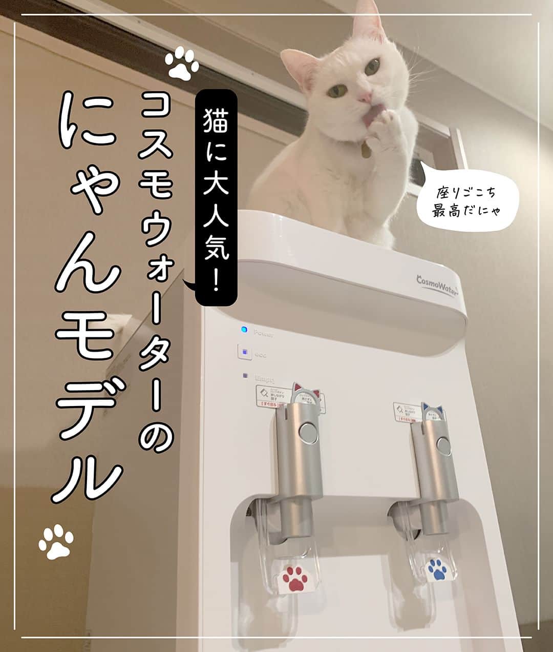 コスモウォーター【公式】のインスタグラム：「＼にゃんモデルを使っているご自宅をご紹介🐱🐾／  今回は、漫画家の宮路ひまさん( @shibainu_donguri )の smartプラス にゃんモデルを 使っている様子を紹介します✨  宮路さんのお気に入りはプニプニの肉球給水レバーと 猫耳のチャイルドロックキー🐱 猫好きにたまらないデザインです🐾✨  猫のすずらんちゃんも、にゃんモデルに興味津々👀 ボトルの入っているダンボールも 遊び場になっているようです💙  可愛いだけじゃなく、冷水やお湯がすぐに出るので 赤ちゃんのミルク作りや家事の時短にも 大活躍しているそうです！  実はこのにゃんモデル。2/22の猫の日に、 大好評につき定番化が決定🎉 定番化を記念してプレゼントキャンペーンを開催しています✨  新規ご契約いただいた方全員にもれなく猫グッズが当たる！ 何が当たるかわからにゃい！？ お楽しみグッズをプレゼント！ さらに、総額100万円分のデジタルギフトカードを抽選でプレゼントいたします✨  また、他社ウォーターサーバーから当社ウォーターサーバーにのりかえると、もれなく全員に「現金5,000円」をキャッシュバック！うれしい特典が最大3つもついてきます✨  キャンペーン期間は2023年3月31日（金）まで。 詳しくは、プロフィールから公式WEBサイトを タップしてCHECKしてくださいね🐱✨  #コスモウォーター #コスモウォーターのある暮らし #にゃんモデル #ウォーターサーバー #ウォーターサーバーのある生活 #ウォーターサーバー検討中 #天然水 #美味しい水 #QOL向上 #生活の質 #ていねいな暮らし #シンプルな暮らし #白湯 #白湯生活 #水分補給 #暮らしのアイデア #暮らしを楽しむ #便利グッズ #ねこ漫画 #猫漫画 #猫まんが #猫のいる風景 #コミックエッセイ #ねこら部 #ねこ好き #猫グッズ #猫可愛い #にゃんすたぐらむ #ねこすたぐらむ #ねこ部」