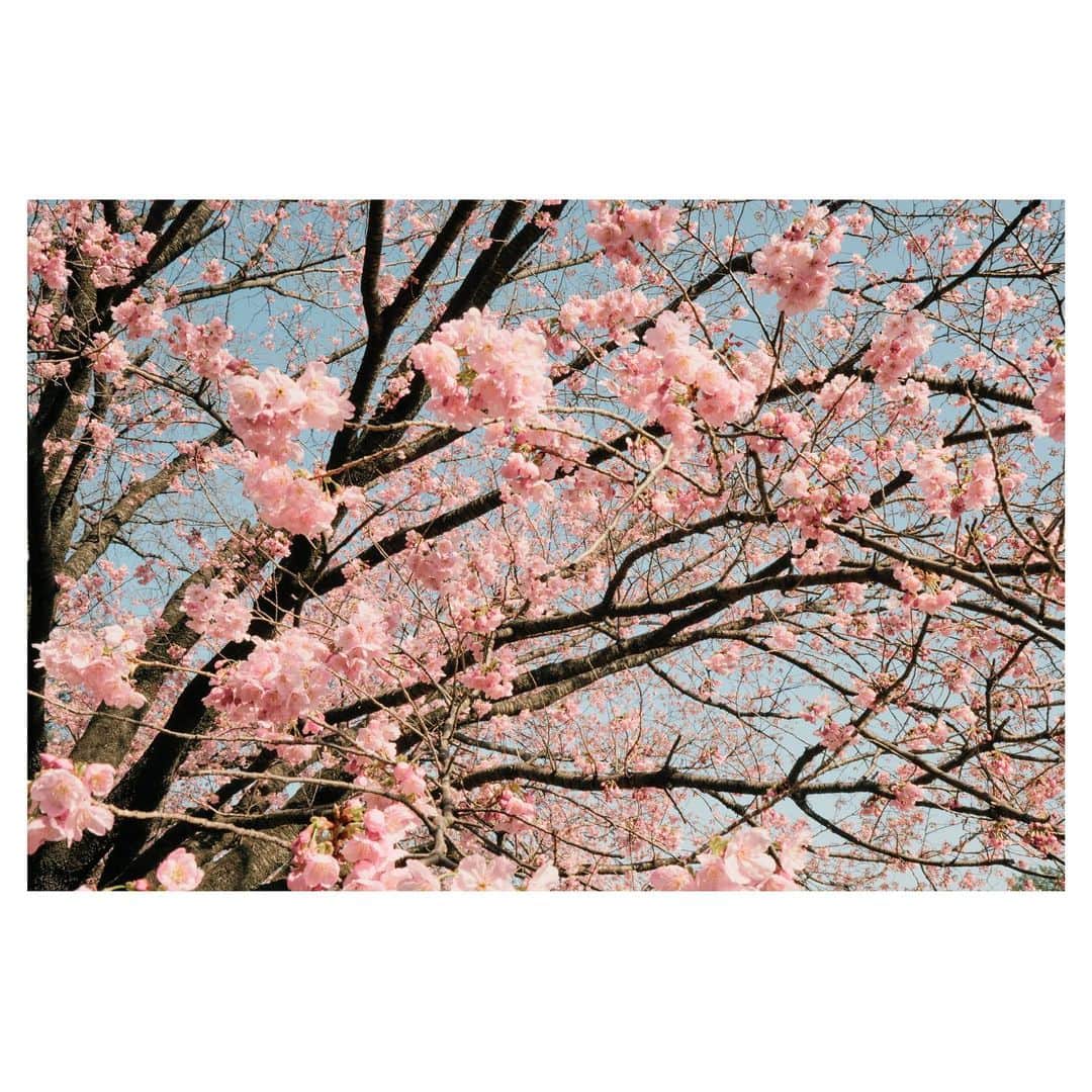 渋谷すばる（公式）さんのインスタグラム写真 - (渋谷すばる（公式）Instagram)「#photography」3月15日 18時01分 - subaru.shibutani.official