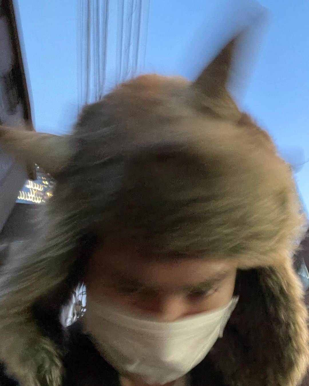 泉大智のインスタグラム：「🦖」