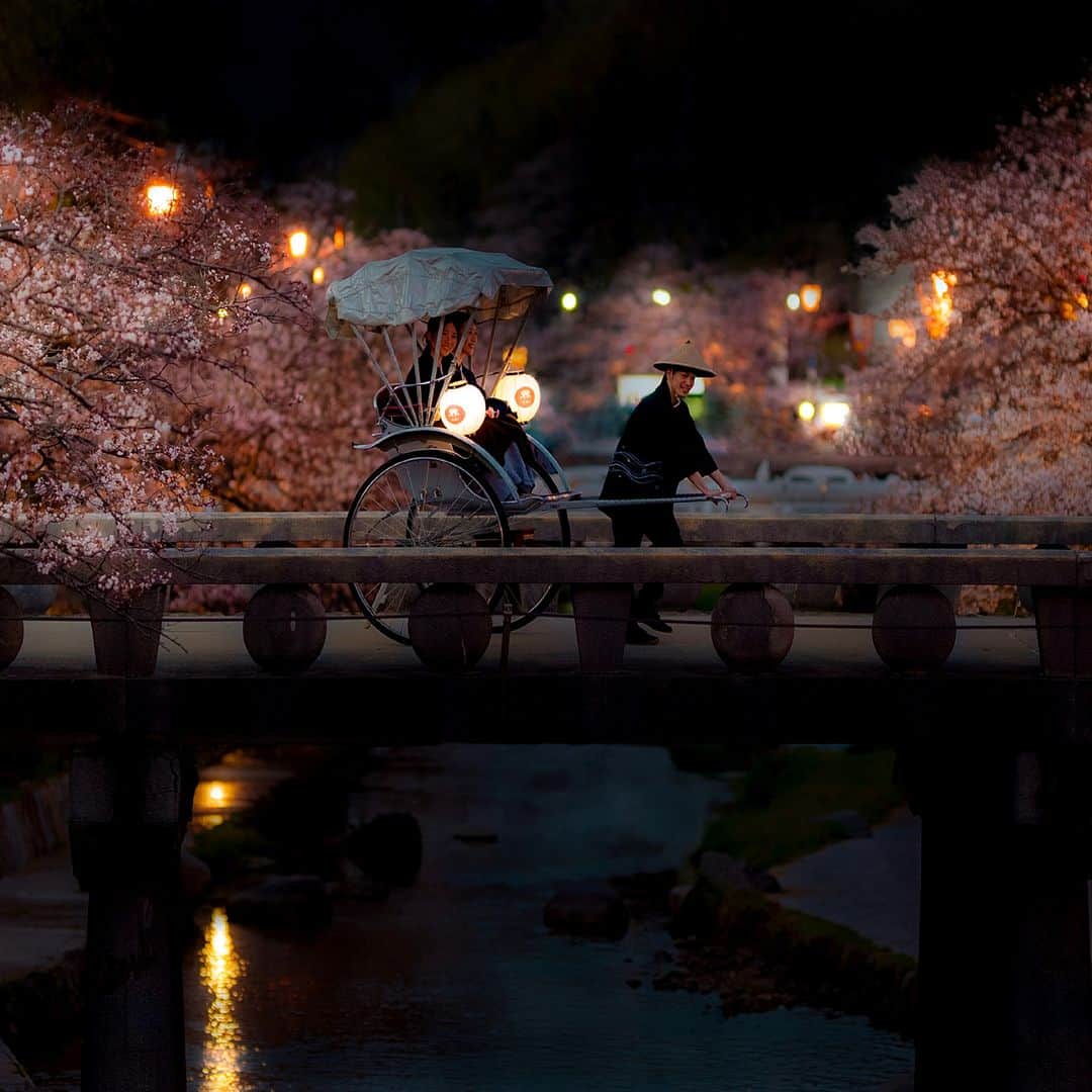 星野リゾートさんのインスタグラム写真 - (星野リゾートInstagram)「【400本の桜を楽しむ「夜桜巡り夜行人力車」】 📍界 玉造 - KAI Tamatsukuri  界 玉造の前を流れる玉湯川は、春になると両岸2kmに渡って400本の桜が咲き誇る、島根県でも屈指の桜の名所です🌸  非日常のお花見を体験していただくために、日没後に専用の人力車を運行。温泉を入れた湯たんぽとブランケットで、暖を取りながら夜桜巡りを楽しめます。 川土手に腰かけて一息つける鑑賞スポットでは、温かい桜茶と桜の花を模した和菓子をご提供🍵  ライトアップされた幻想的な夜桜を心ゆくまで堪能できます。  #HoshinoResorts #星野リゾート #Kai #界 #KaiTamatsukuri #界玉造 #Shimane #izumo #島根 #出雲 #玉造温泉 #出雲旅行 #出雲ホテル #温泉旅館 #露天風呂付き客室 #桜 #夜桜 #人力車」3月15日 19時00分 - hoshinoresorts.official