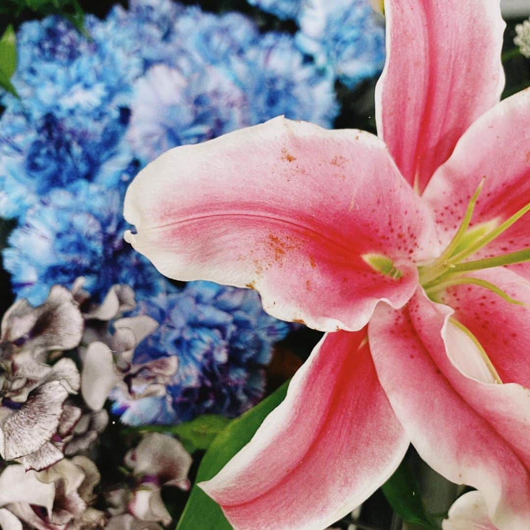 小久保柚乃のインスタグラム：「・  💐  #私立恵比寿中学 #エビ中 #小久保柚乃」