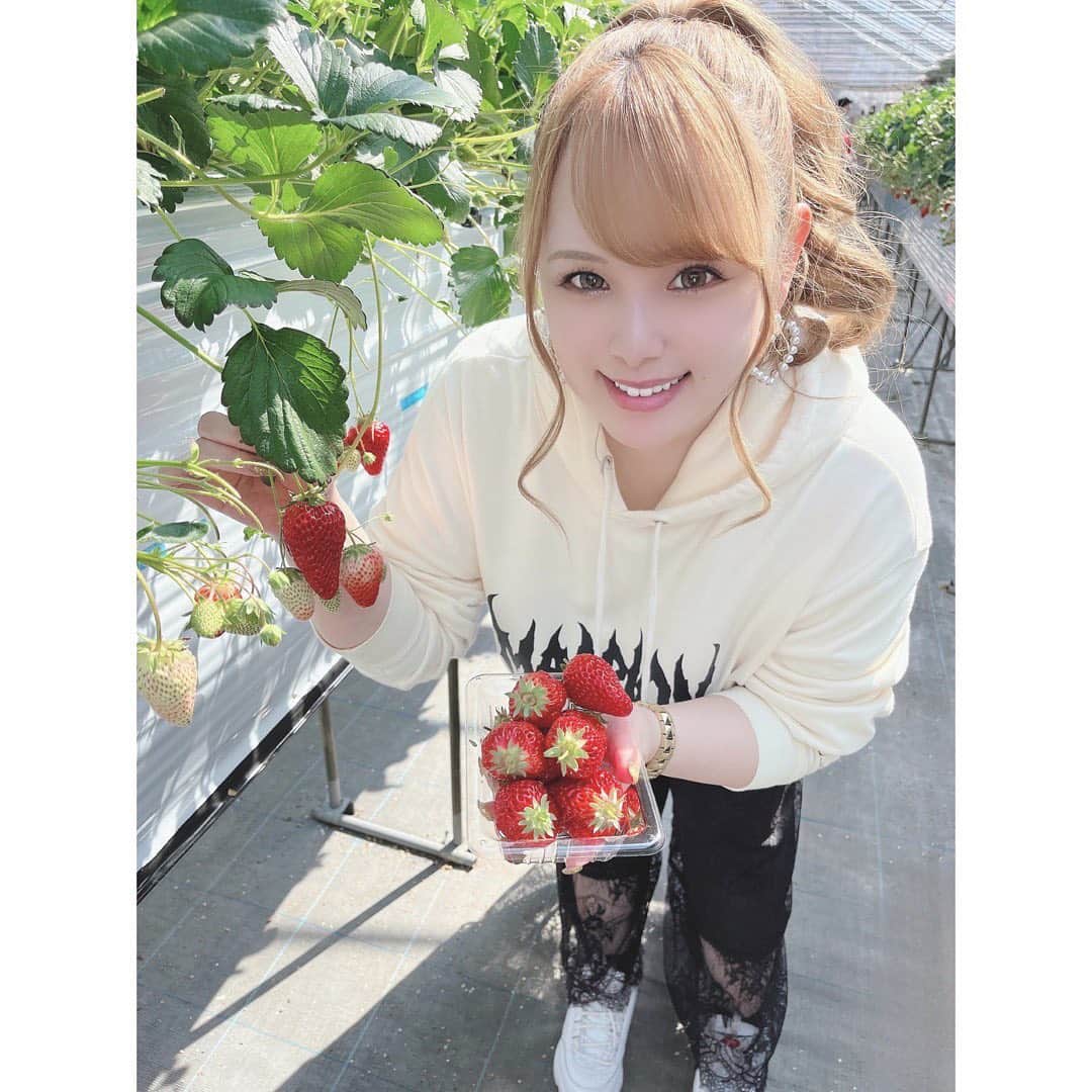 西村ニーナさんのインスタグラム写真 - (西村ニーナInstagram)「First strawberry picking of the season 🥳🍓30 minutes goes by so fast🥹」3月15日 19時18分 - nishimura_nina
