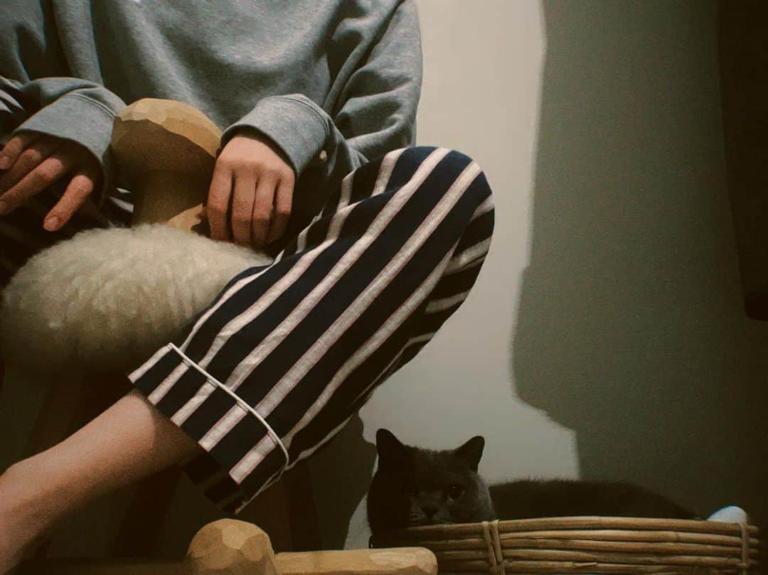 大本彩乃のインスタグラム：「🐈‍⬛🎮🫶🐏🗼🐙🃏  『のっちはゲームがしたい！』 @music.natalie さんにて、番外編が公開中です🙋  2022年に遊んだゲームの中から勝手にベスト5を考えてみました。  ネタバレ無しで書いたので、是非お時間あるときに、気軽に読んでください！！  @nieranime についてもちょっと書いてます。  あと、うちの猫の「にあ」ちゃんです。 付かず離れず程よい距離感の、クールな猫です👏#ブリティッシュショートヘア ですどーぞ😗🫱  リンクはハイライトの🔗にきっとあります！！  #prfm  #ポケモン #splatoon #inscryption #straygame #cultofthelamb #nierautomata」