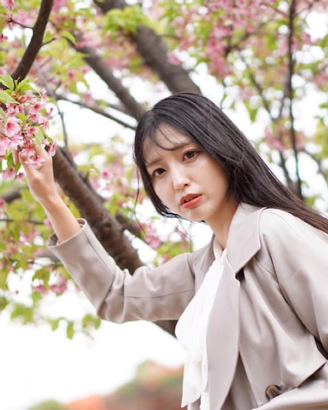 池永百合さんのインスタグラム写真 - (池永百合Instagram)「こんばんは🌙  🌸と👩  SUPER GT開幕まであと1ヶ月🏎🏁  テストのお写真をファンの方が送ってくださったり、Moduloスマイルのコスチュームの最終フィッティングがあったり だんだんと実感が湧いてきました💕  みなさんは、開幕戦に向けて何か準備などしていますか？  わたしは、最近たくさん食べているのでこれから身体絞ります🙌  #撮影会 #撮影会モデル #フェスタソーレ撮影会 #フェスタソーレ撮影会東京 #photo #photography #ポートレート #ポートレート撮影 #ファインダー越しの私の世界 #ファインダー越しの世界 #お台場 #河川敷 #河津桜 #トレンチコート #トレンチコートコーデ #レースクイーン #レースクイーン写真部 #rq #池永百合 #車好き女子 #model #japanesegirl #asiangirls #黒髪ロング #黒髪女子 #桜 #桜撮影会」3月15日 19時50分 - ikenaga_yuri