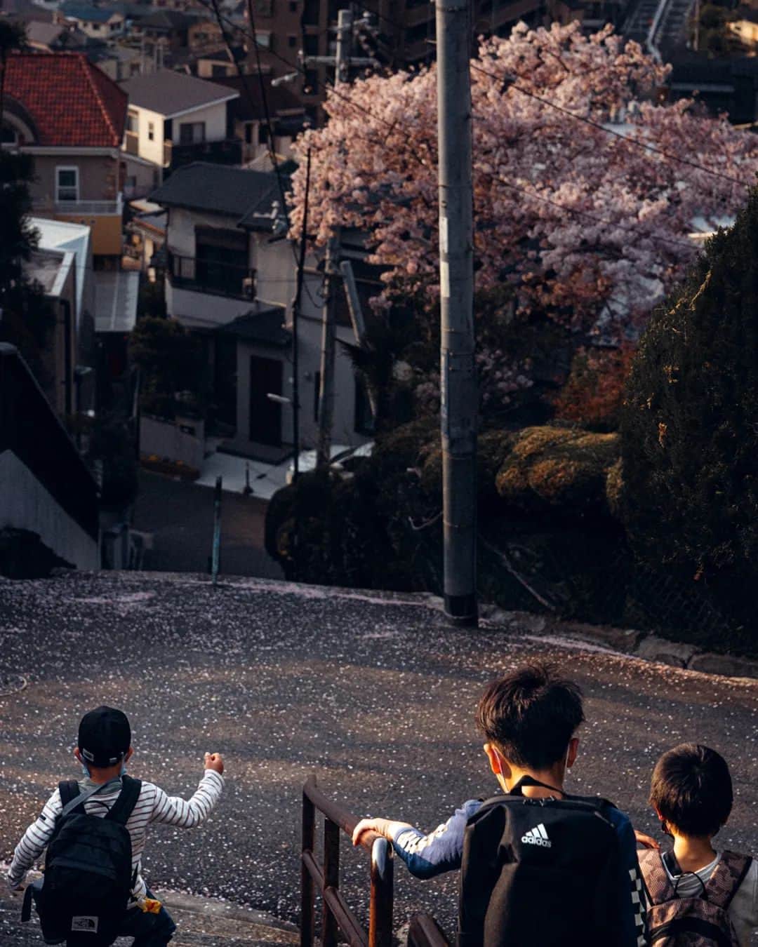 deepskyさんのインスタグラム写真 - (deepskyInstagram)「Sakura in Japan /日本の桜 . . #beautifuldestinations #cherryblossom #Sakura #Japan #kyoto #nara #osaka #travel #Photography #hypebeast #nature #earthpix #日本 #桜 #京都 #奈良」3月15日 20時08分 - _deepsky